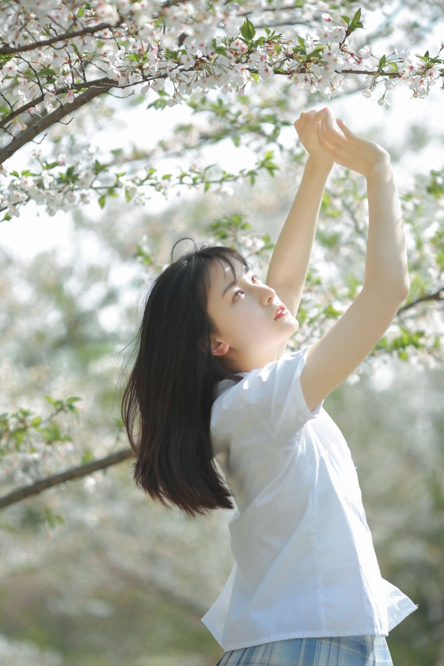 《等春风得意，等时间嘉许》[10P]-66COS