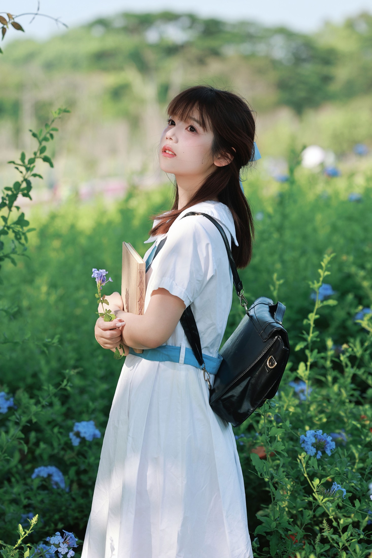 《蓝雪花里的 JK 少女，藏着夏天的心事》[19P] 插图4