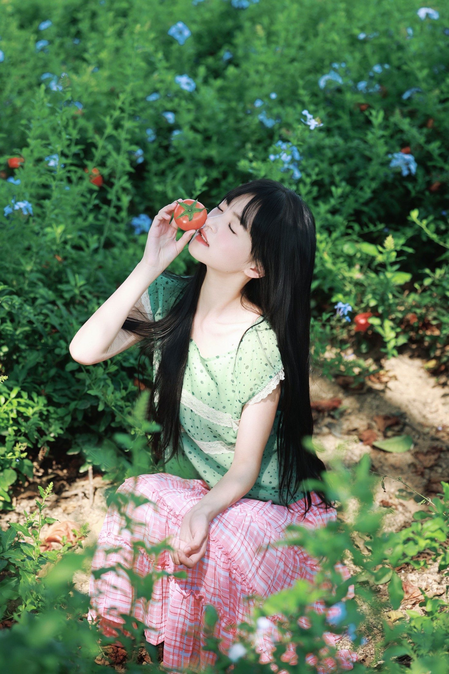 《蓝雪花与番茄味的夏天》[20P] 插图5