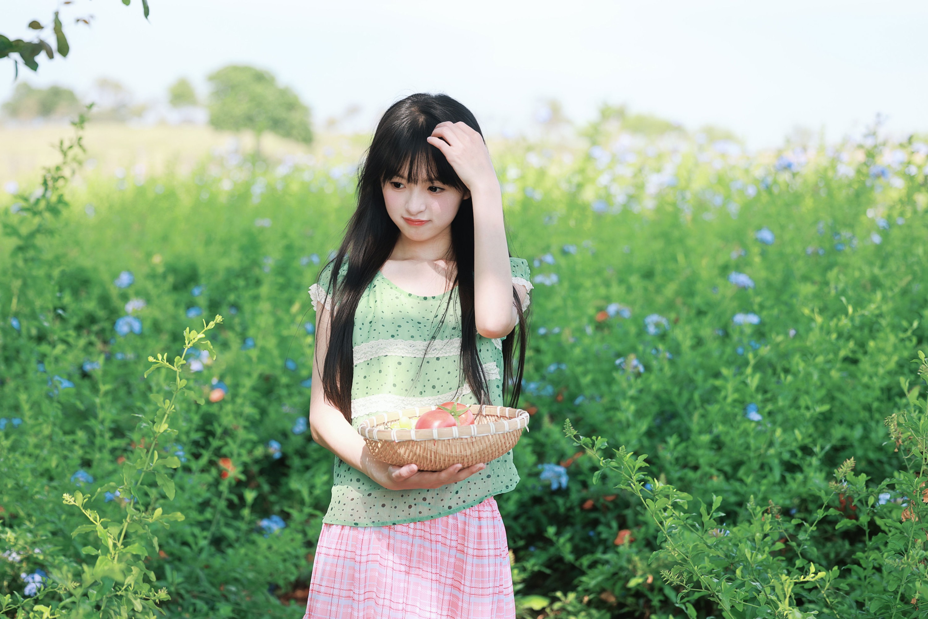 《蓝雪花与番茄味的夏天》[20P] 插图2