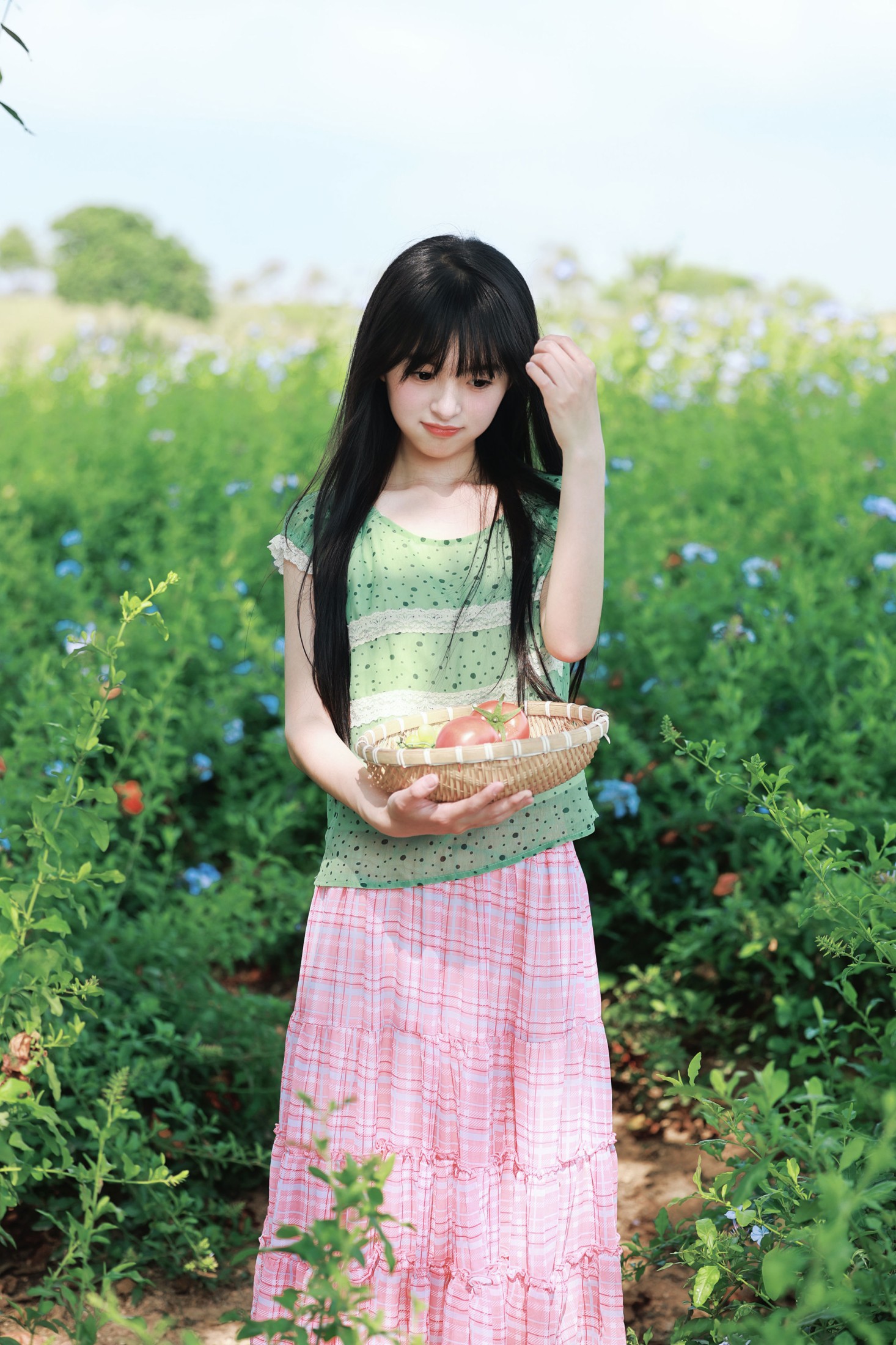 《蓝雪花与番茄味的夏天》[20P]-66COS
