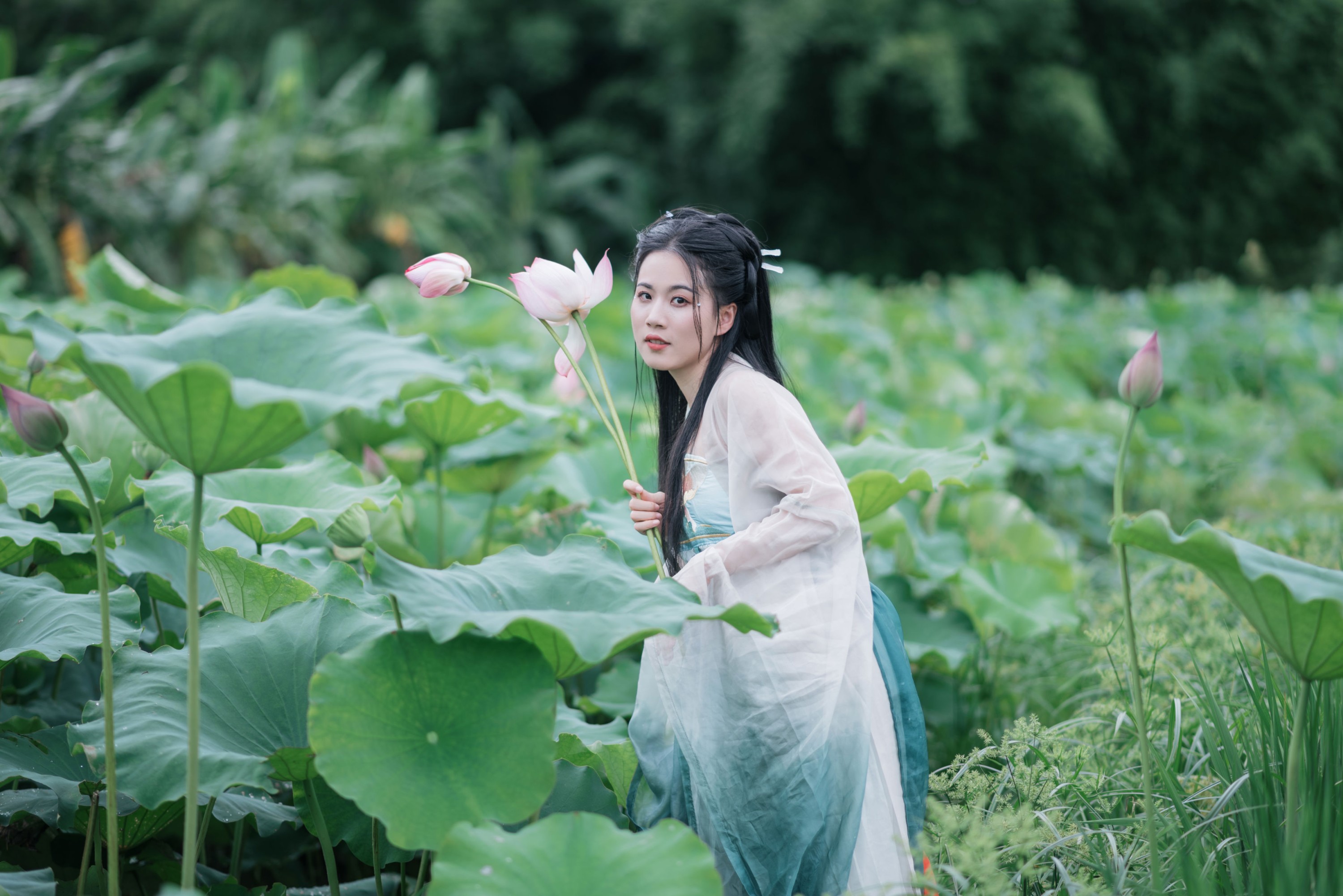 《一池清荷，一袭古意》[17P] 插图5