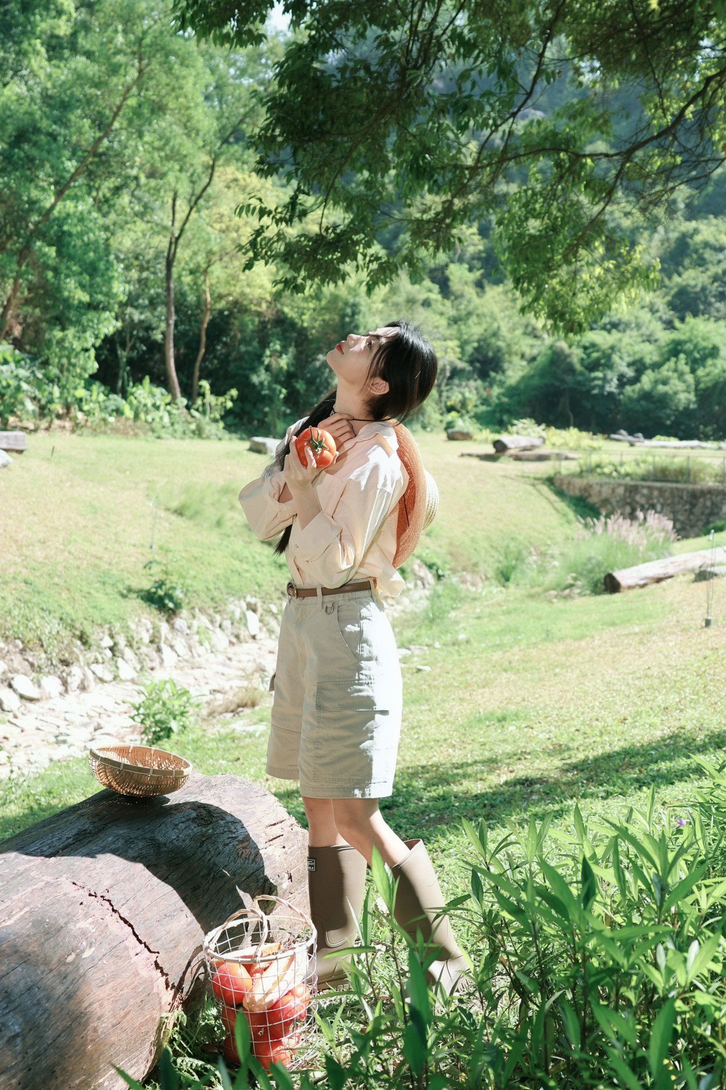 《夏日农场日记，是阳光和番茄的味道》[33P] 插图3