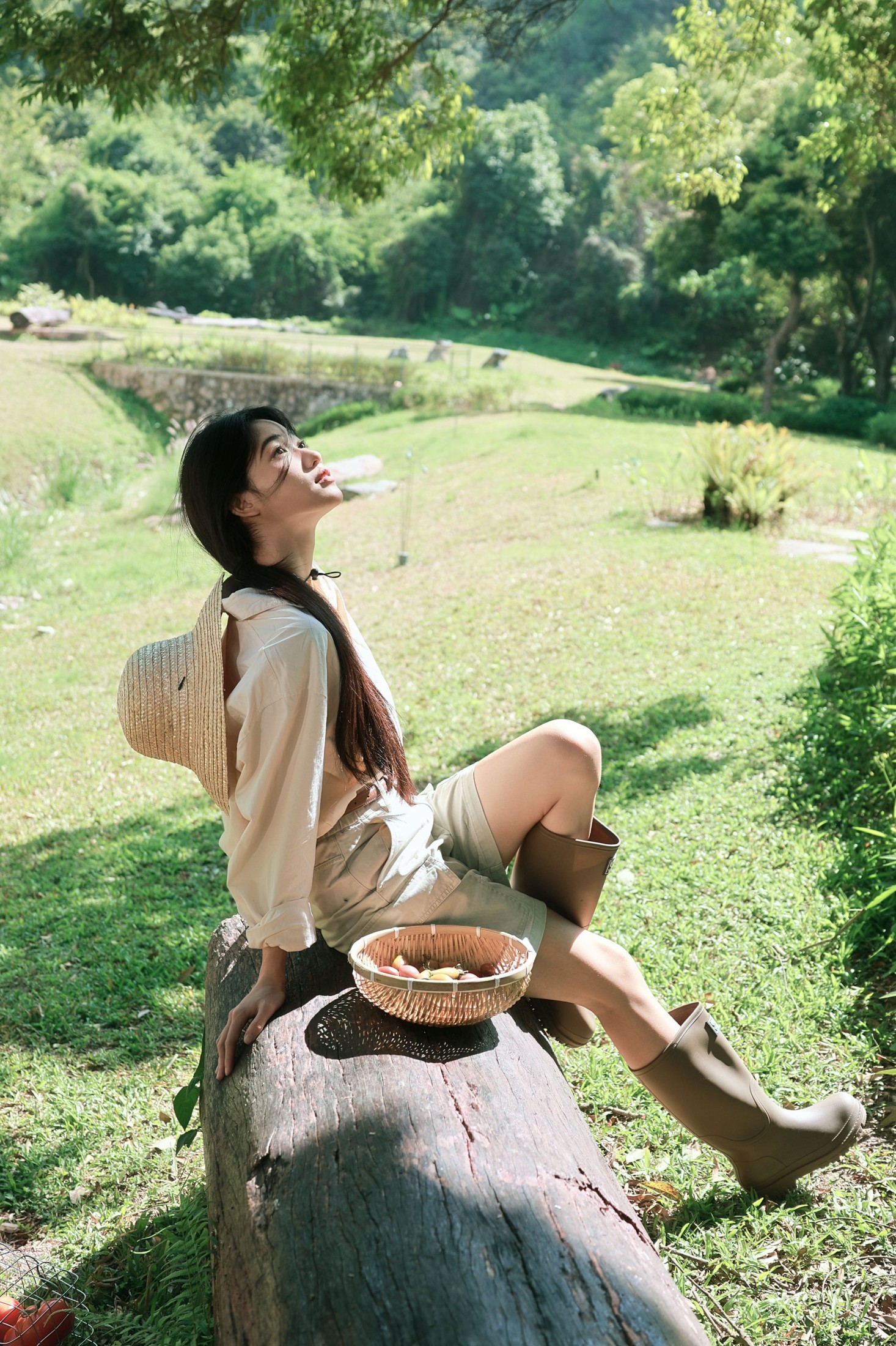 《夏日农场日记，是阳光和番茄的味道》[33P] 插图2