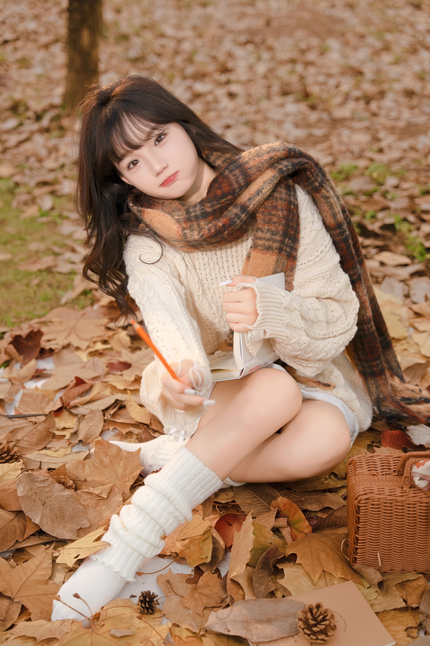 《秋日落叶氛围感写真》[11P] 插图2