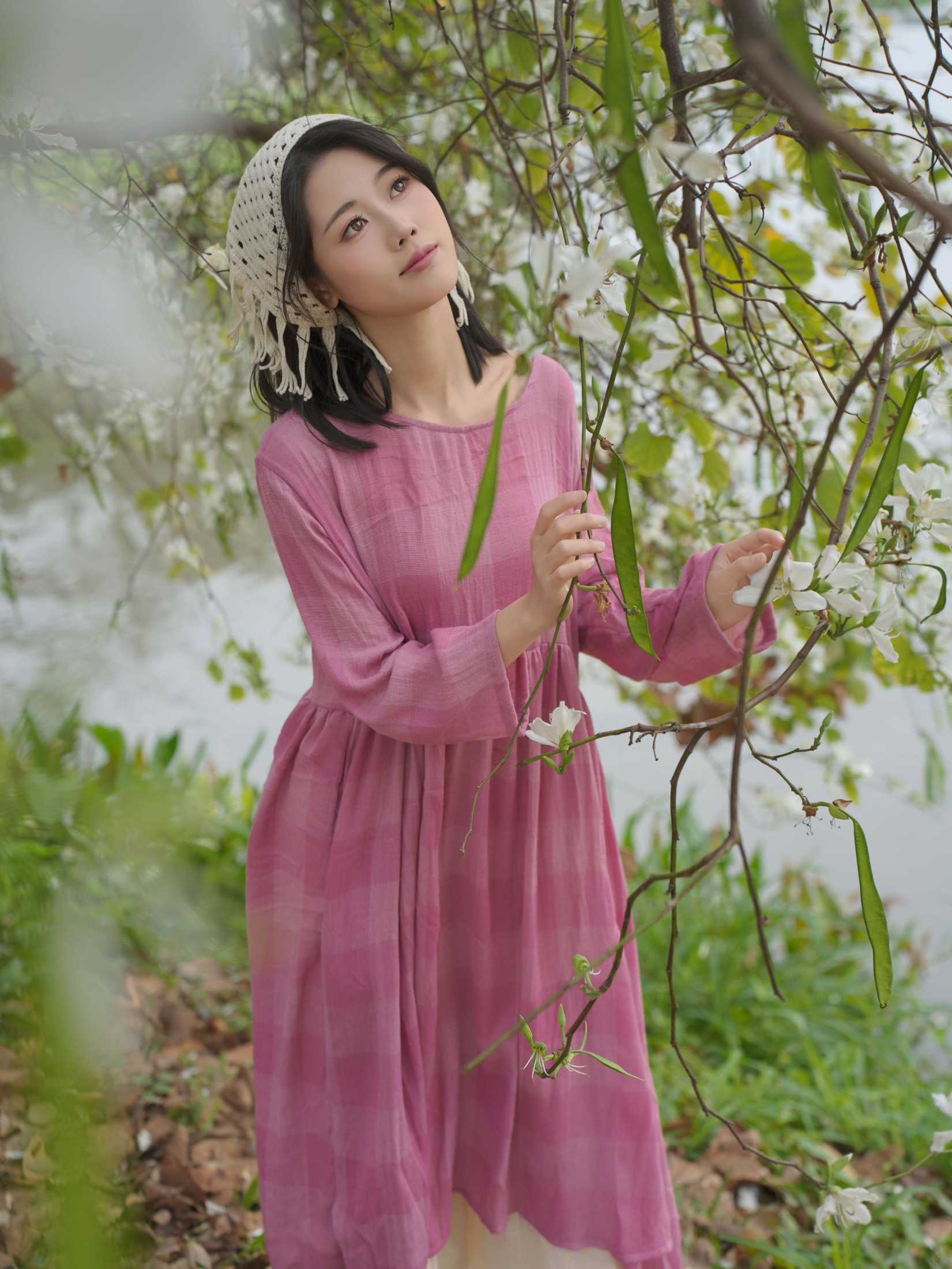 《紫荆花树下和三角梅》[20P] 插图5