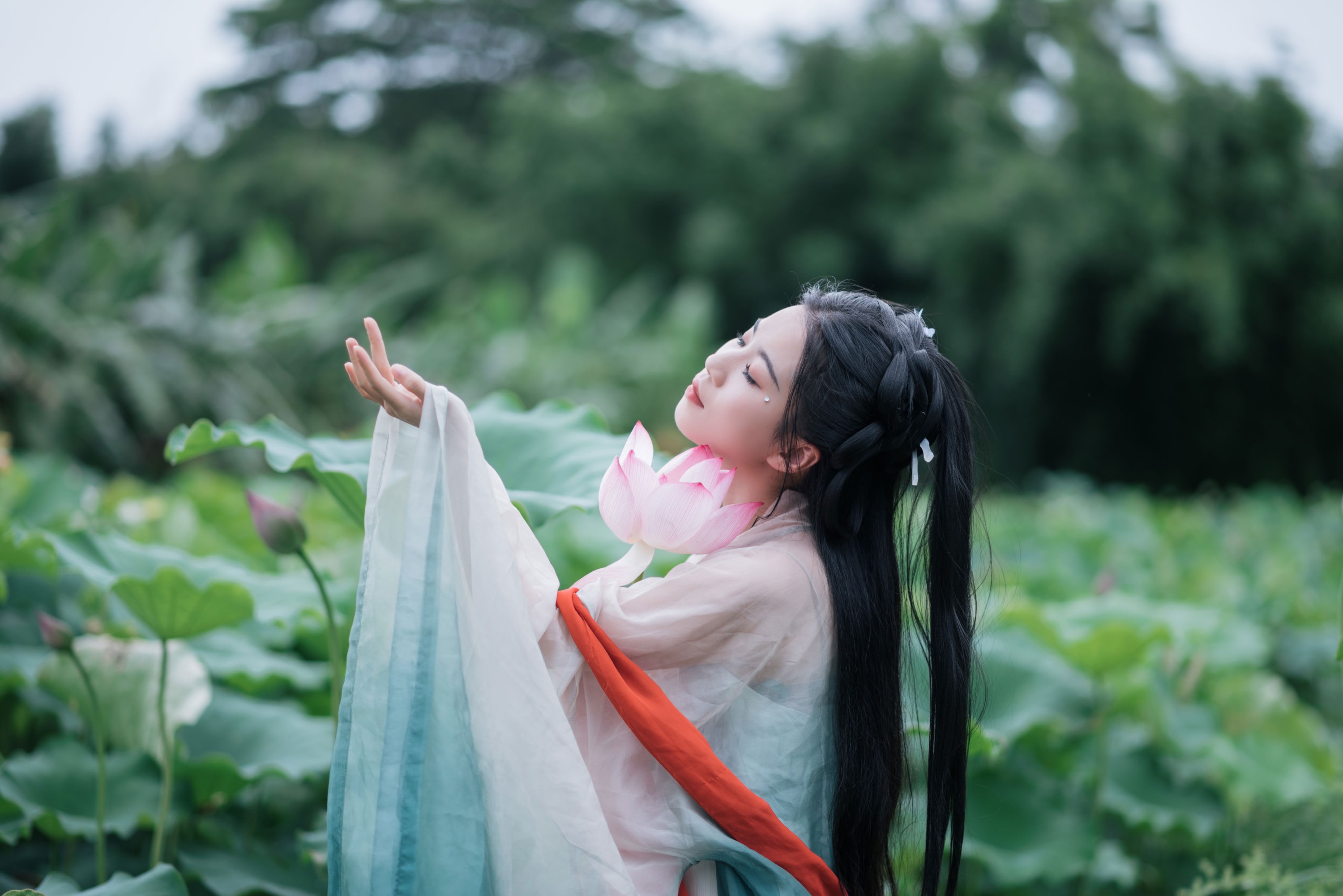 《荷塘深处，邂逅一袭宋韵温柔》[13P] 插图5