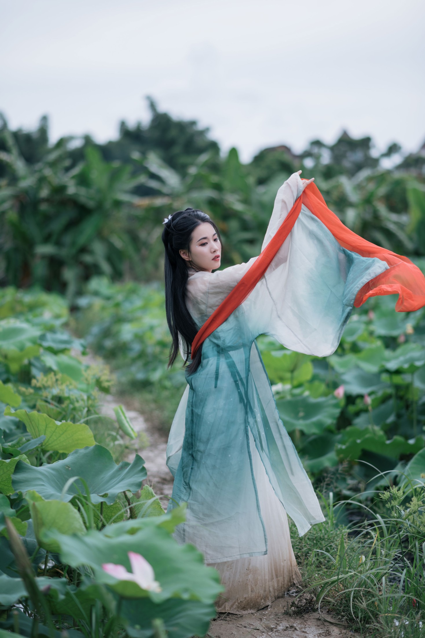 《荷塘深处，邂逅一袭宋韵温柔》[13P] 插图4