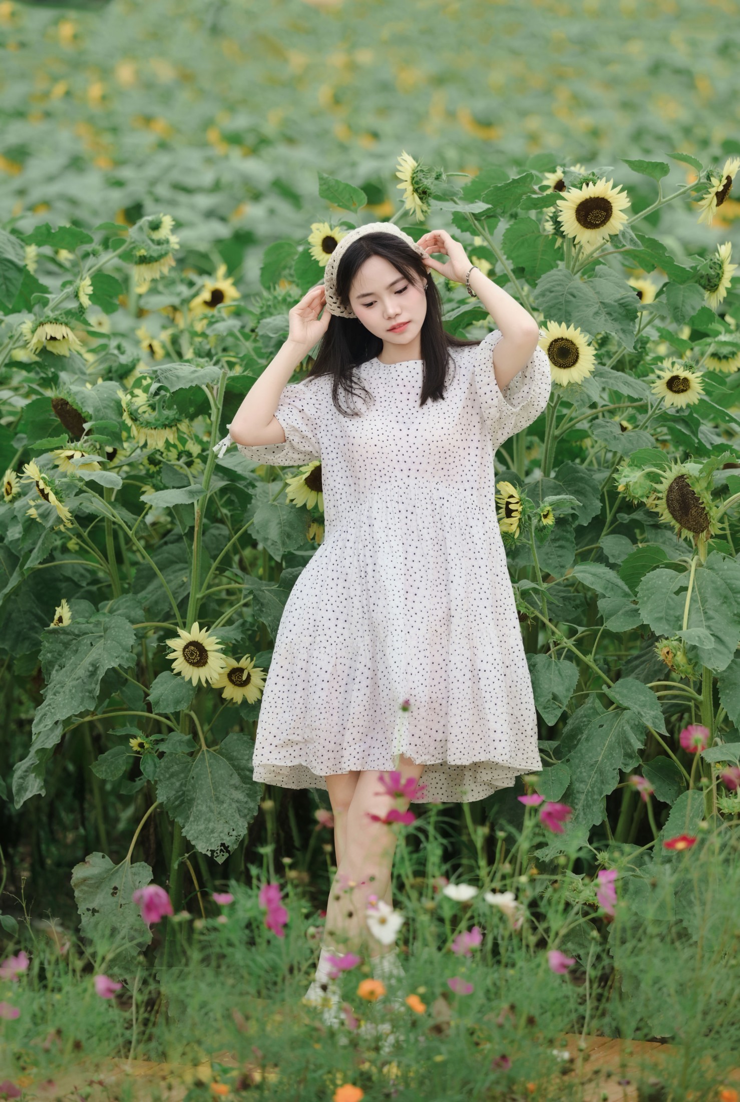 《闯入向日葵花海 把夏日浪漫揣进兜里》[11P] 插图3