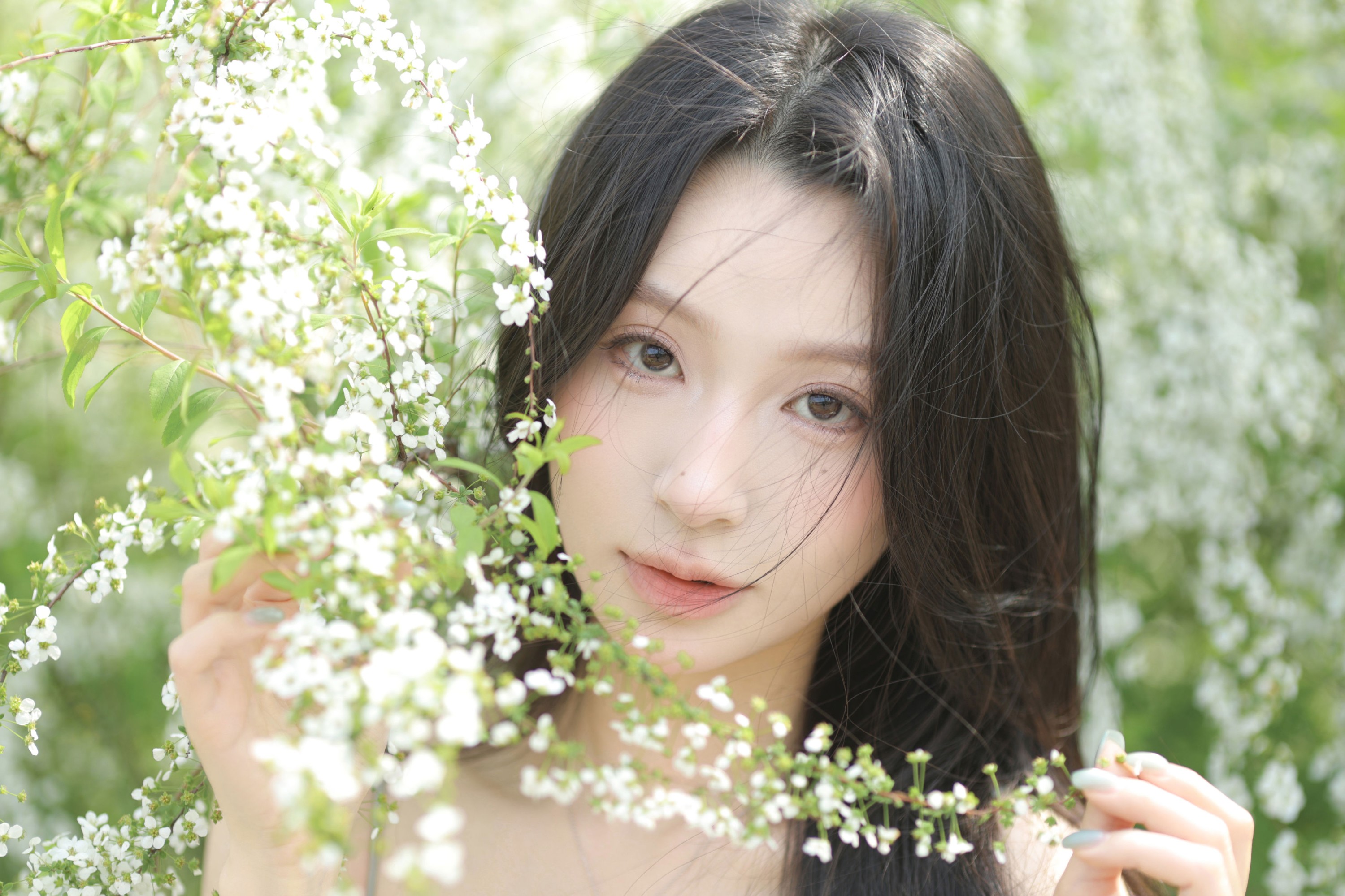 《落在春天的雪》[30P] 插图2