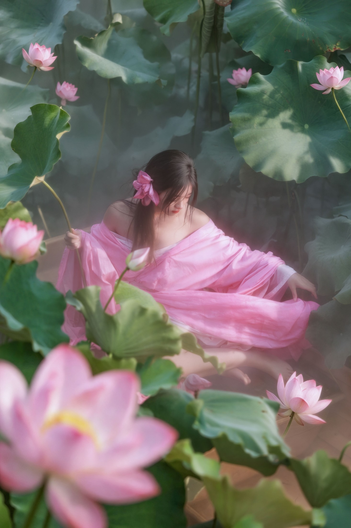 《夏日的浪漫藏在这片荷花深处》[19P] 插图4