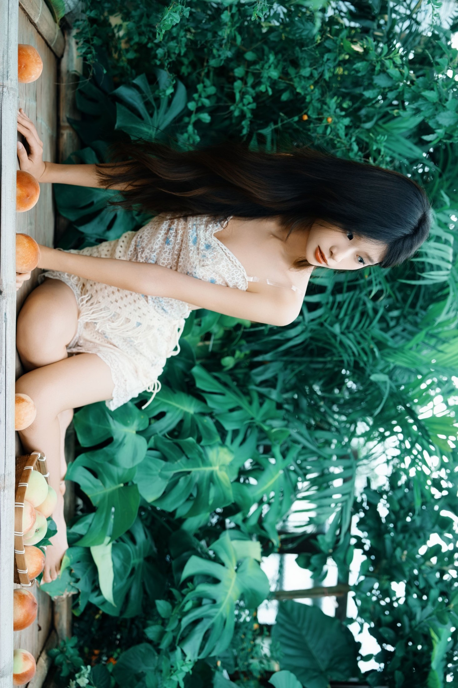 《夏野绿风吟》[19P]-66COS