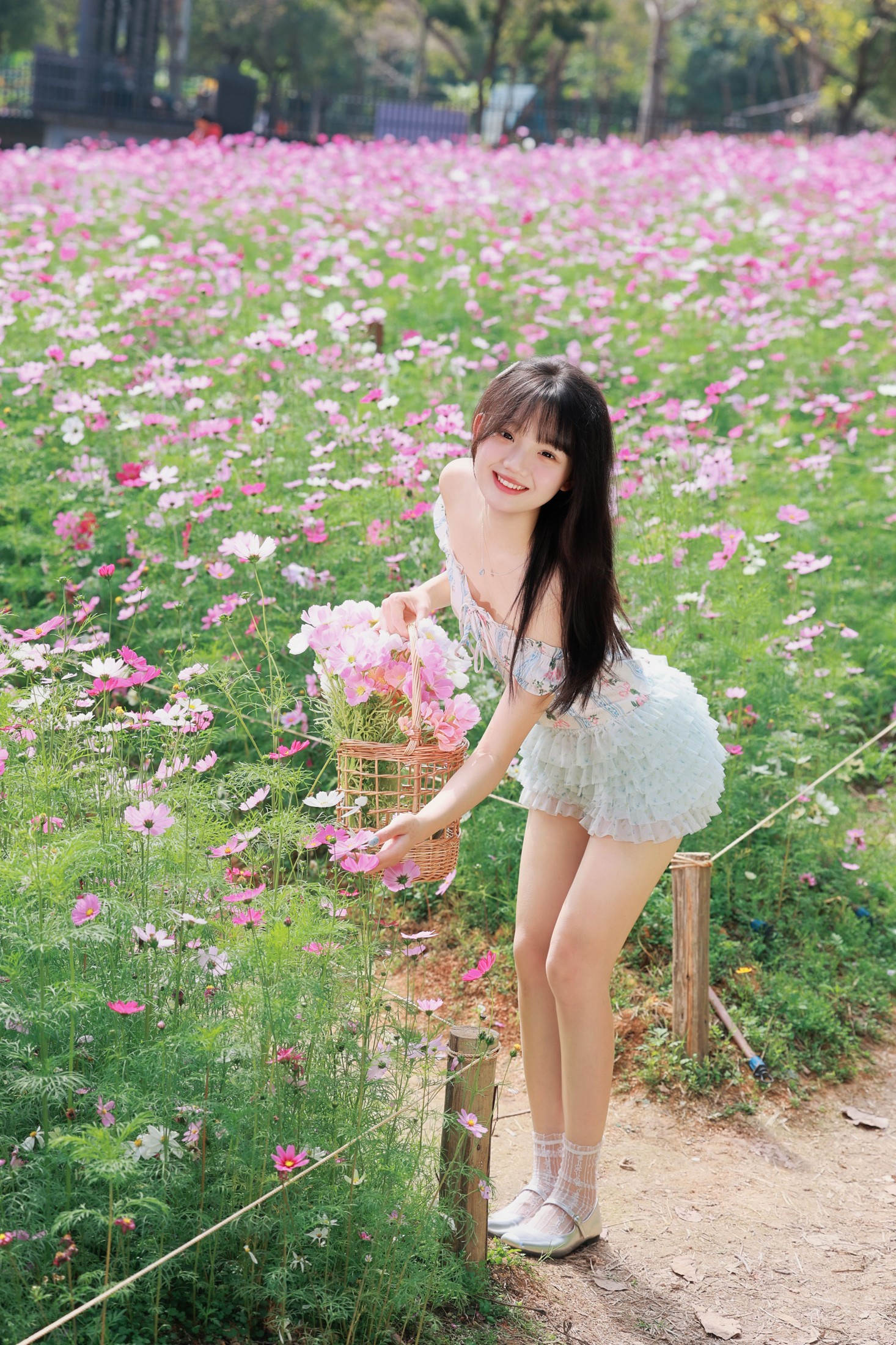 《被格桑花海包围的春日限定 是甜妹该有的样子！》[30P] 插图3