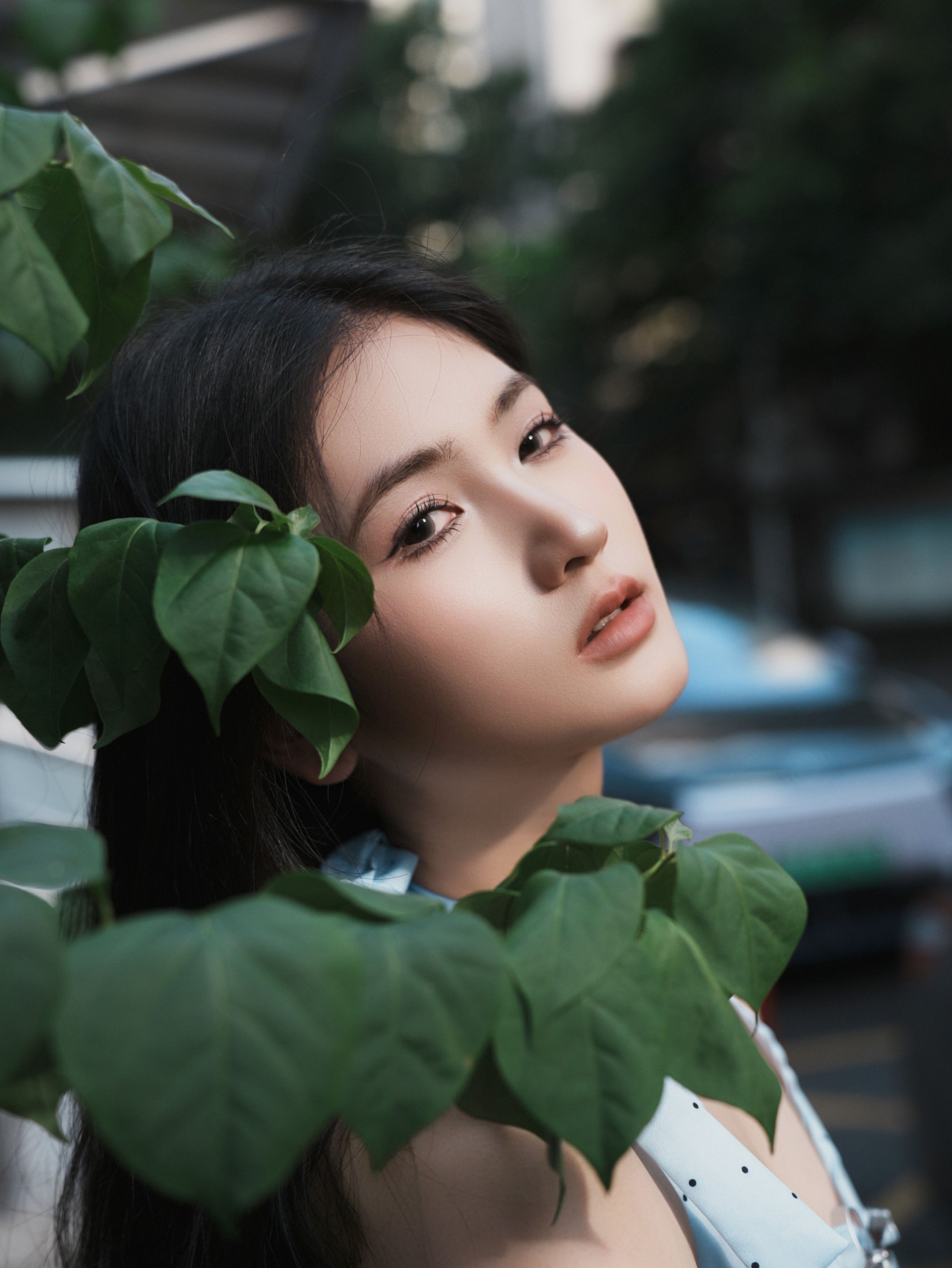 《真的不像张柏芝吗》[17P] 插图2