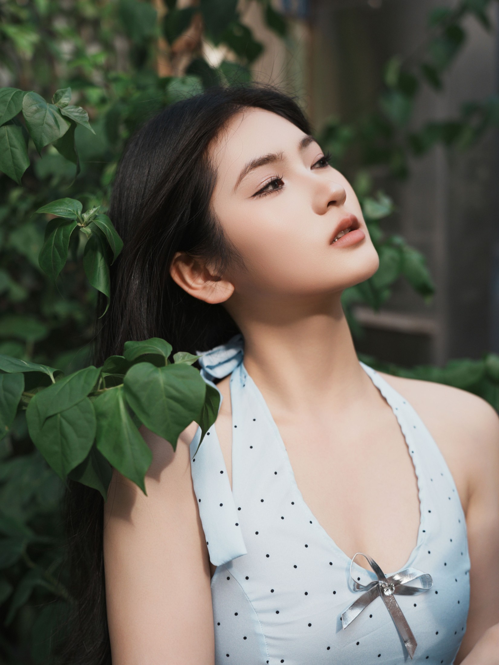 《真的不像张柏芝吗》[17P]-66COS