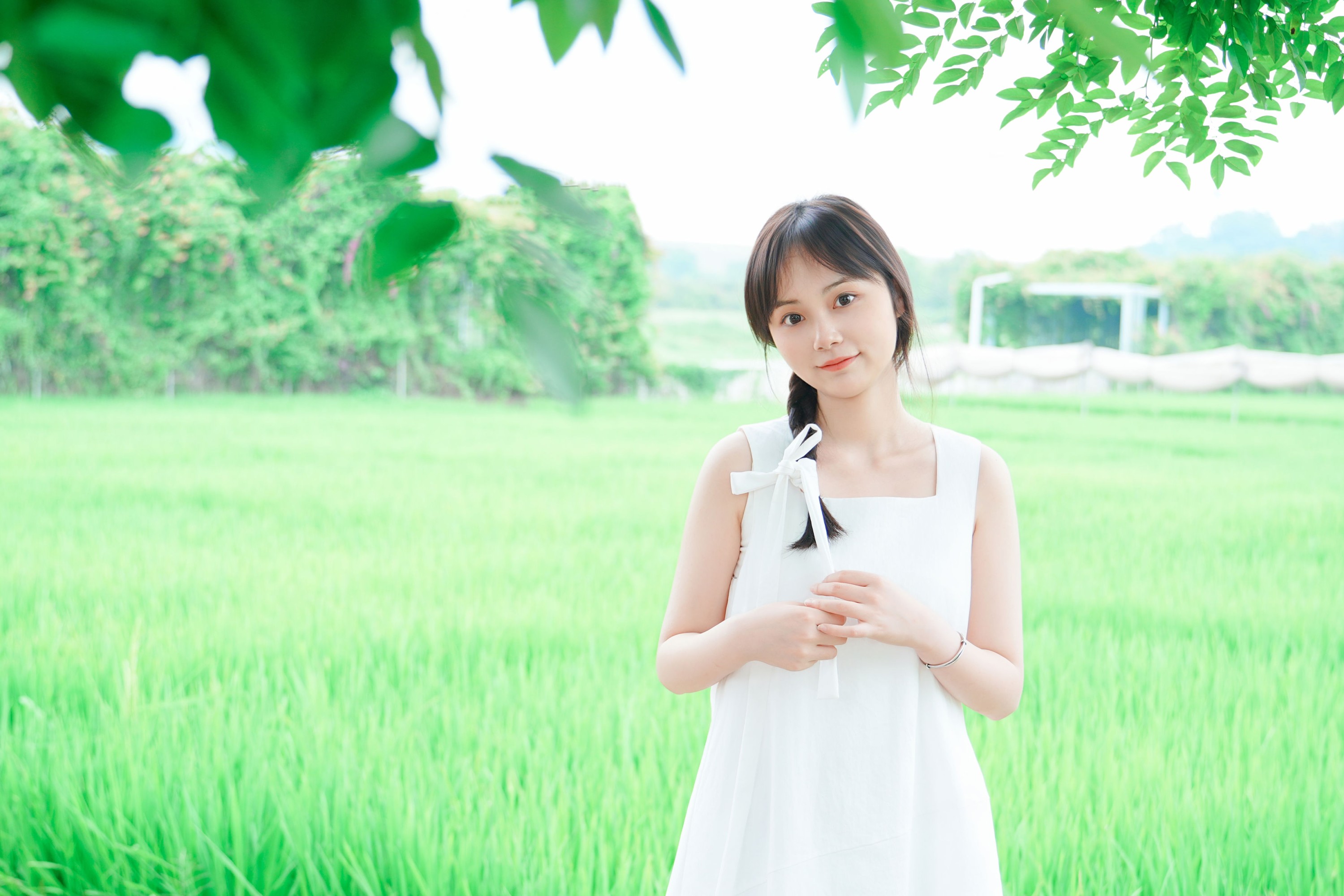 《夏天治愈系稻田拍照！》[9P] 插图3