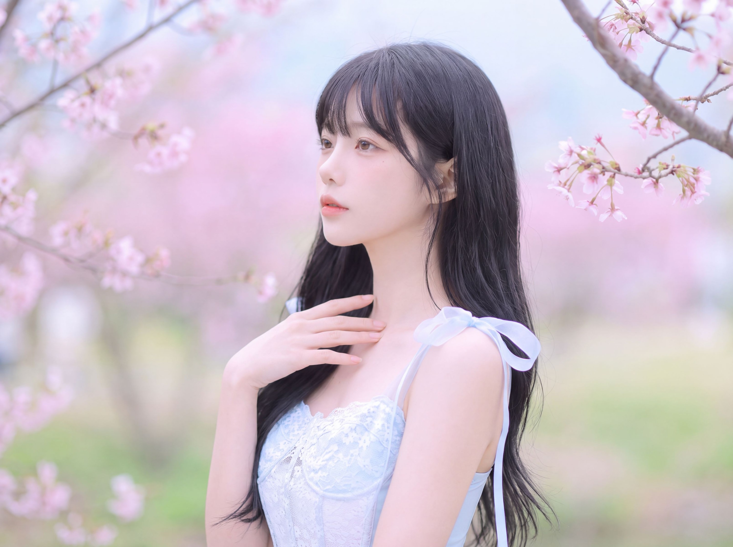 《樱花雨》[15P] 插图5
