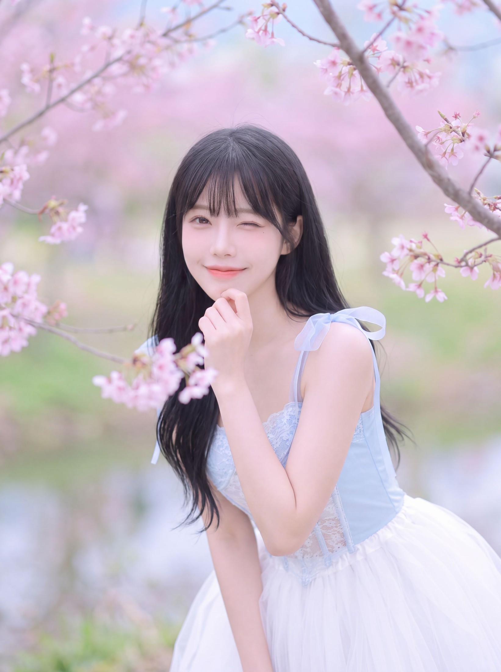 《樱花雨》[15P]-66COS