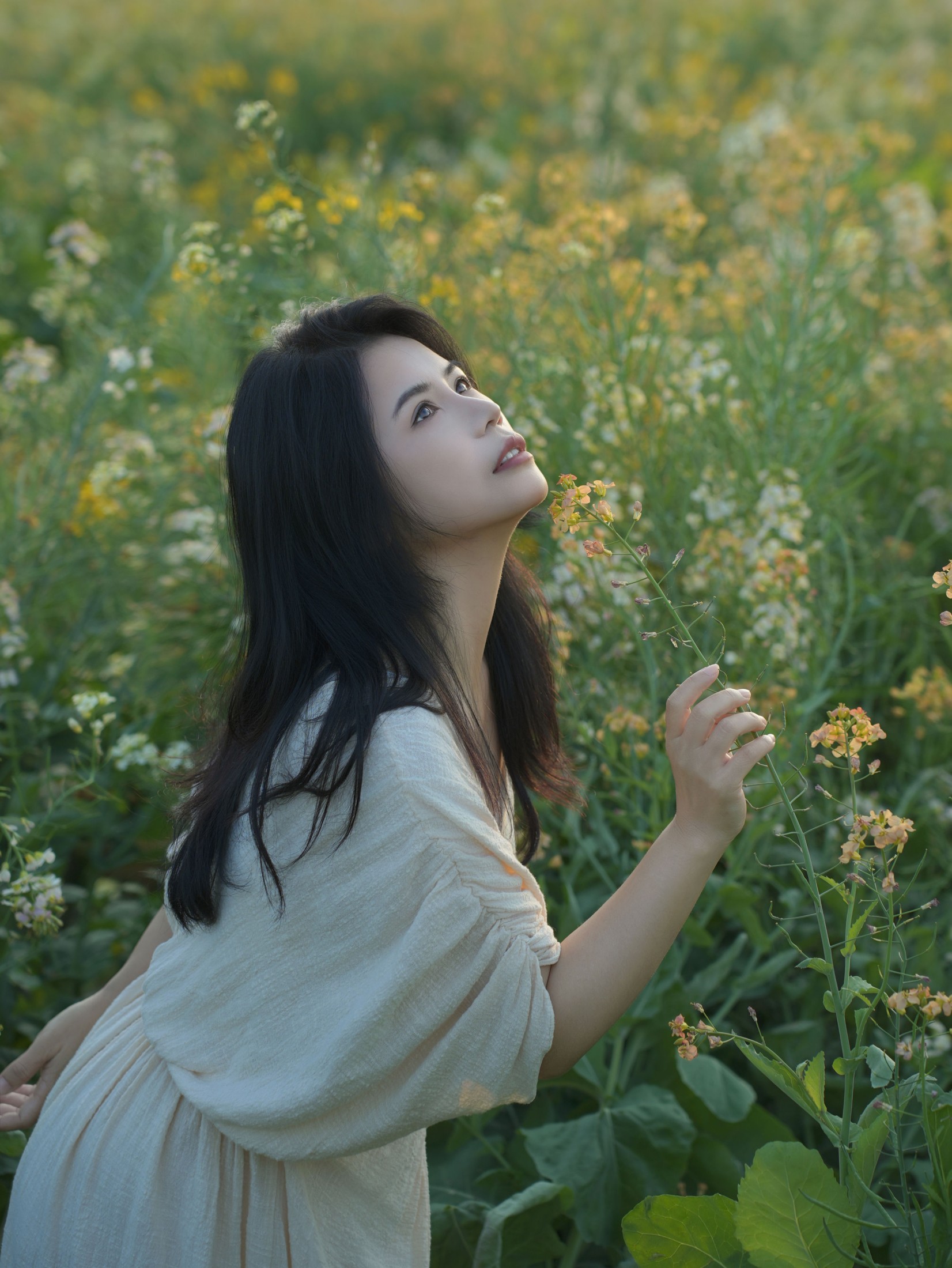《油菜花里拍蓝调情绪风》[14P] 插图3