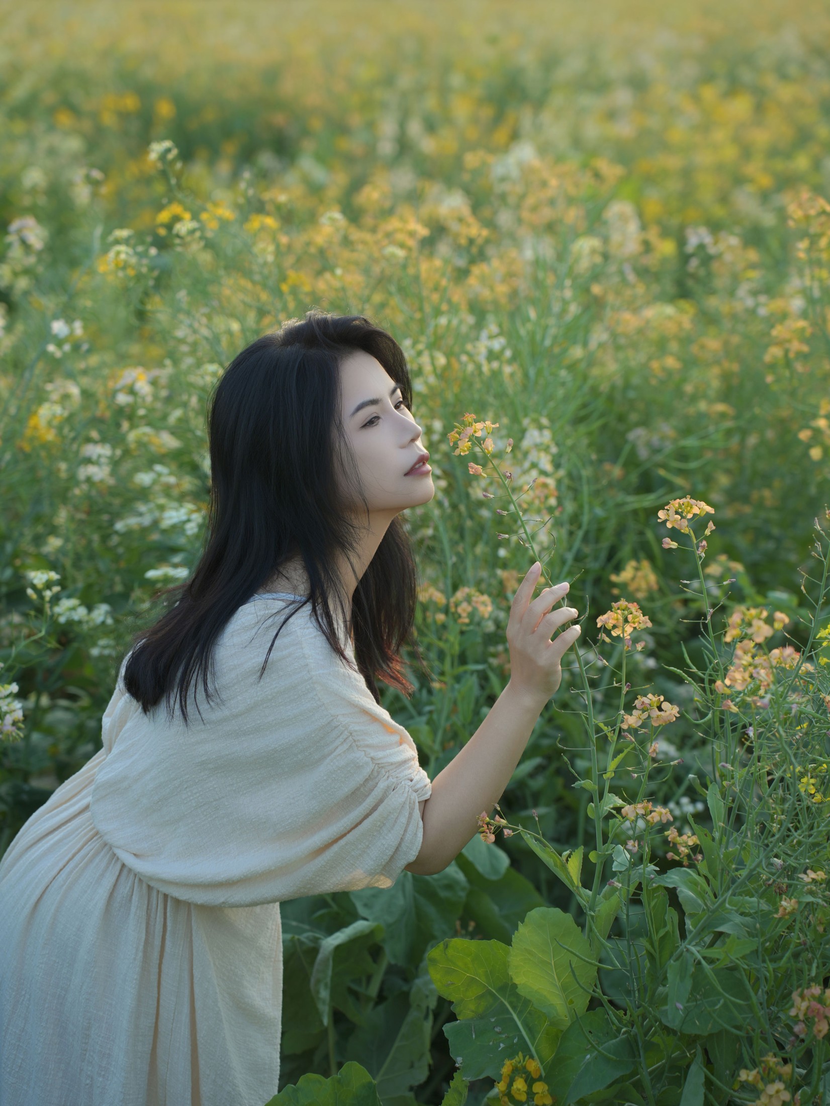 《油菜花里拍蓝调情绪风》[14P] 插图2