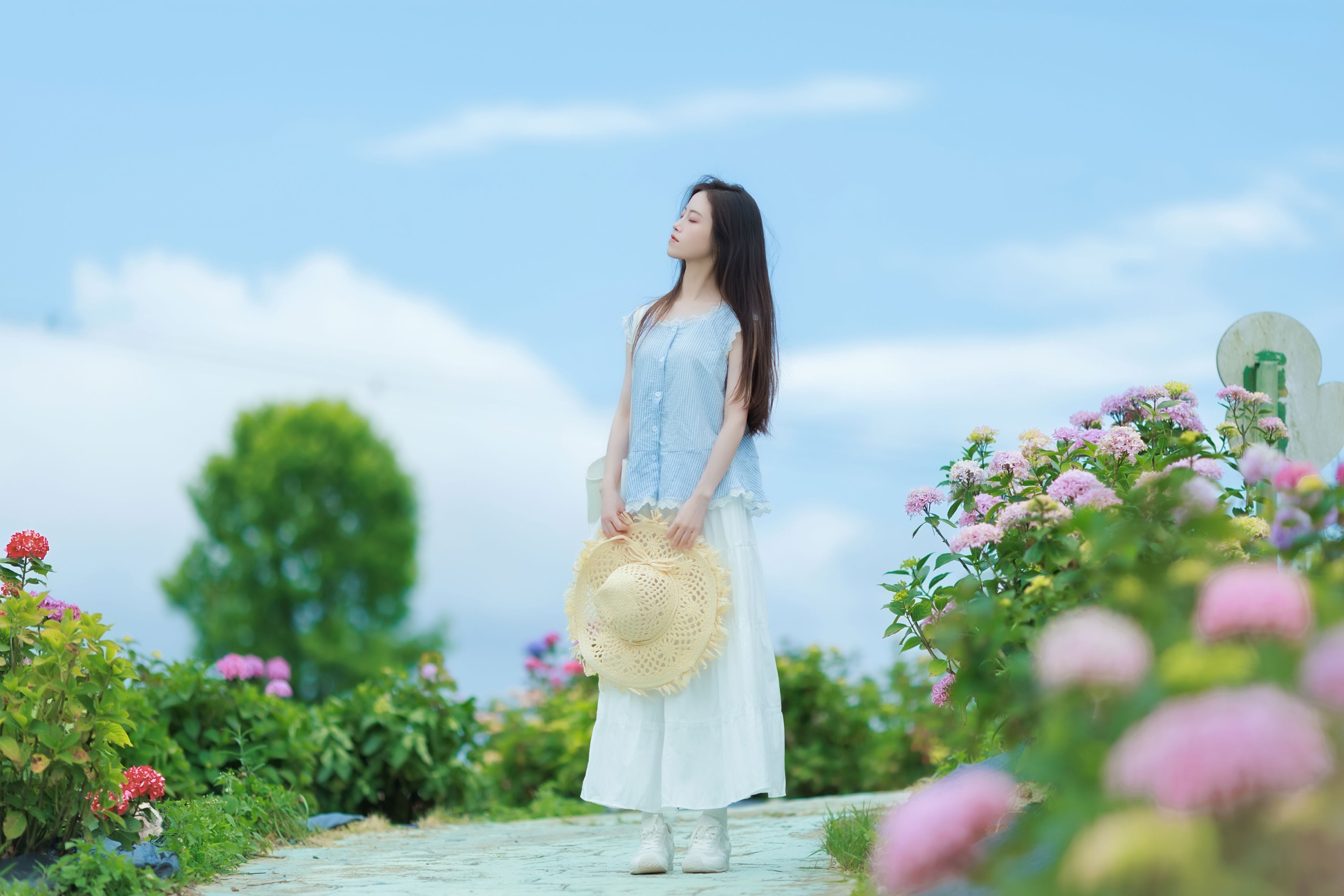 《清透绣球花海氛围感》[23P] 插图2