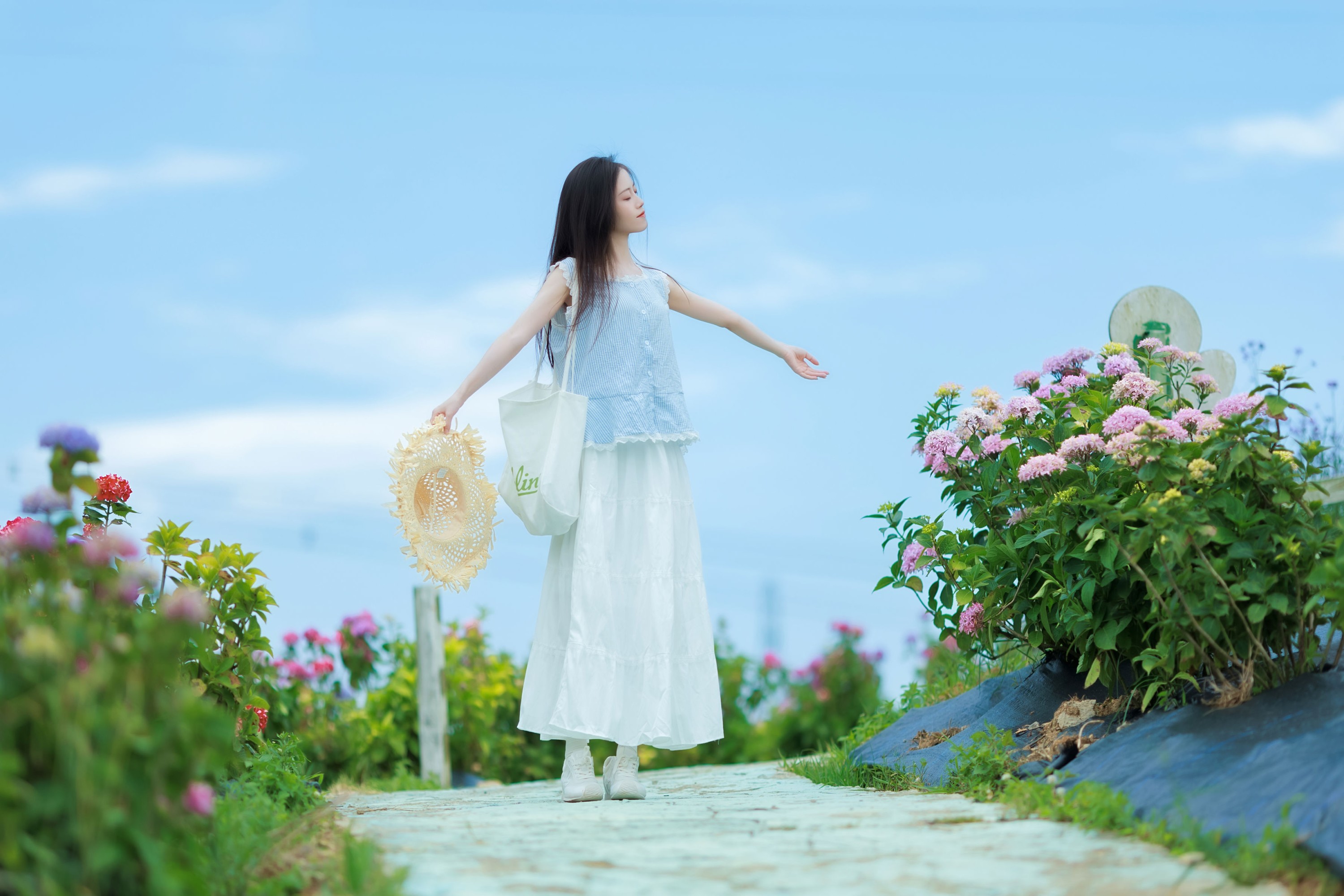 《清透绣球花海氛围感》[23P]-66COS