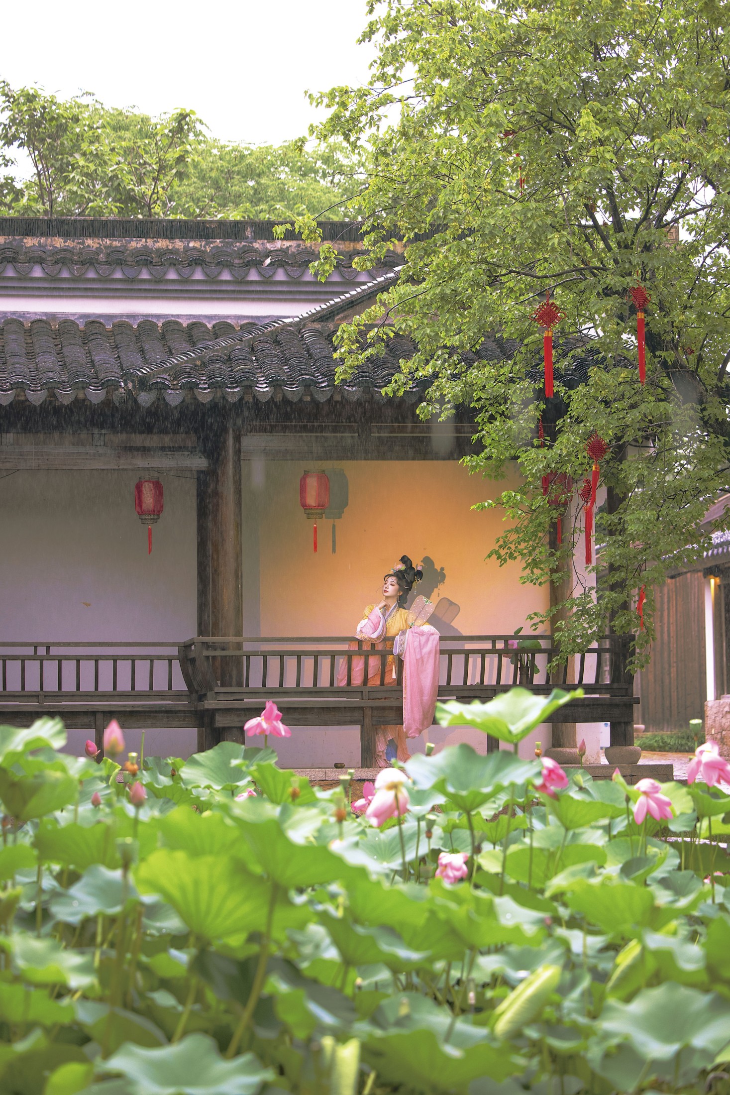 《晚风吻尽荷花叶》[15P] 插图5