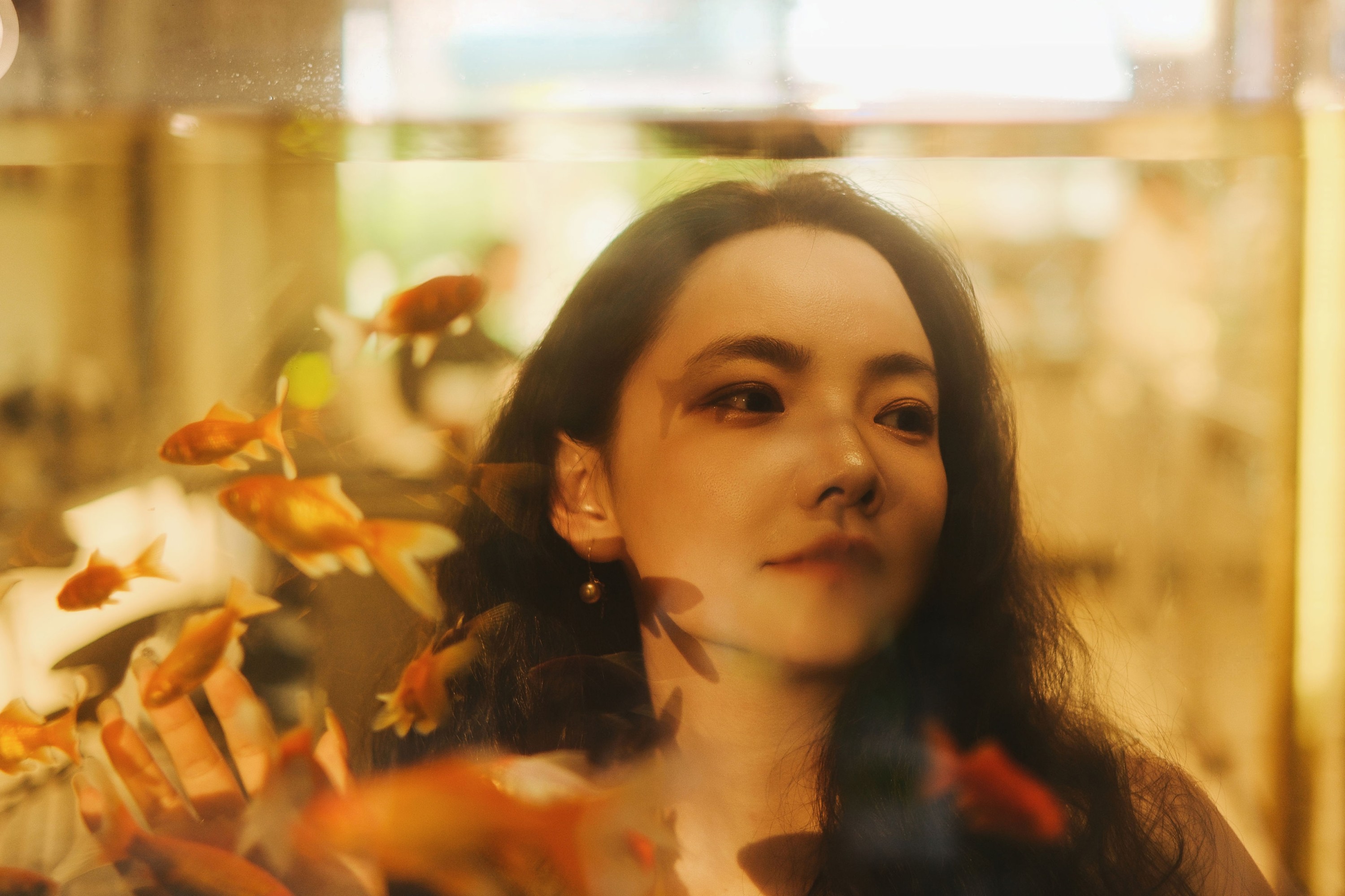 《The Grounds 金鱼的梦》[15P] 插图3