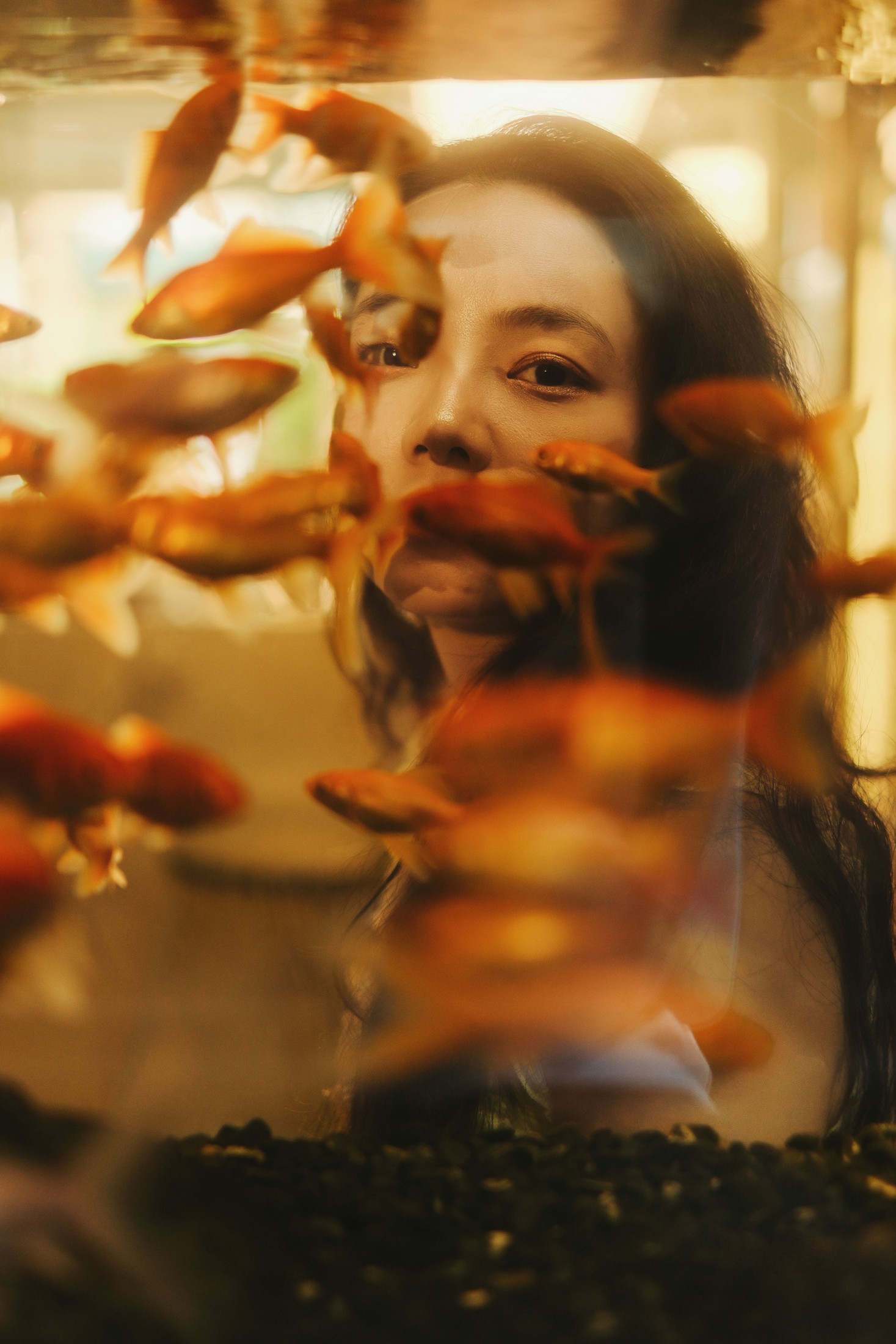 《The Grounds 金鱼的梦》[15P]-66COS