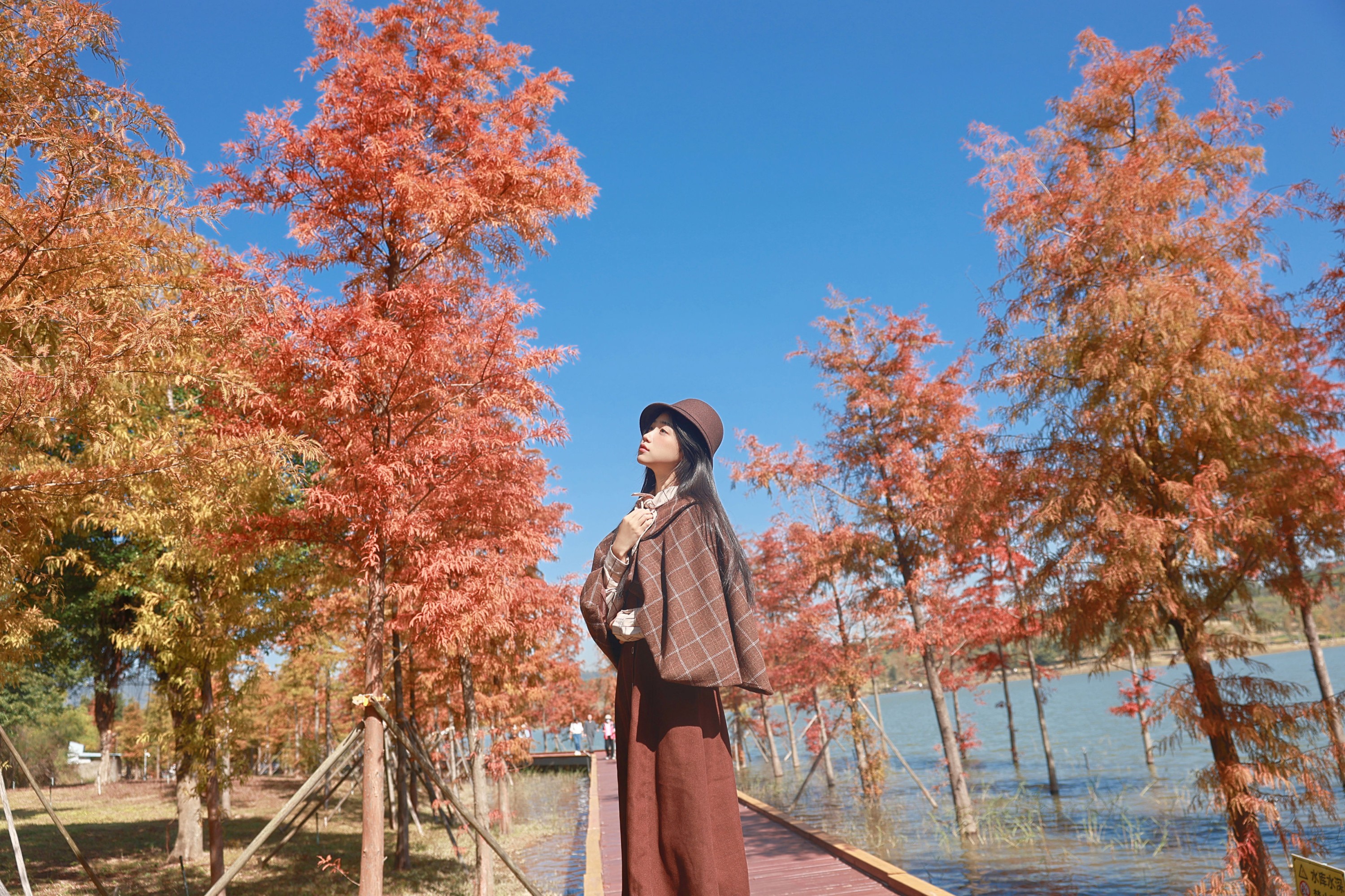 《秋日限定落羽杉 英伦风复古写真太绝了！》[38P] 插图2