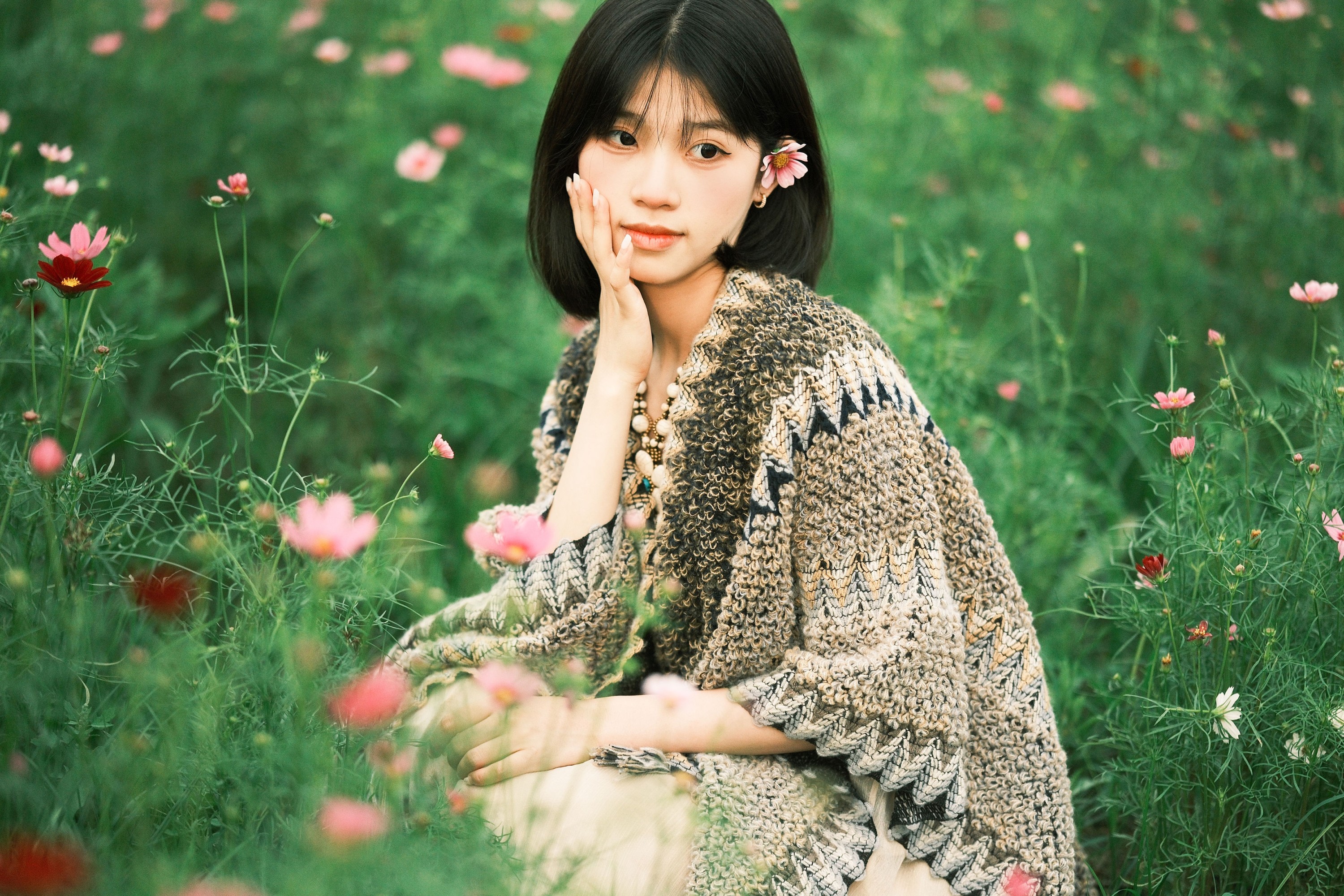 《格桑花海》[44P] 插图4