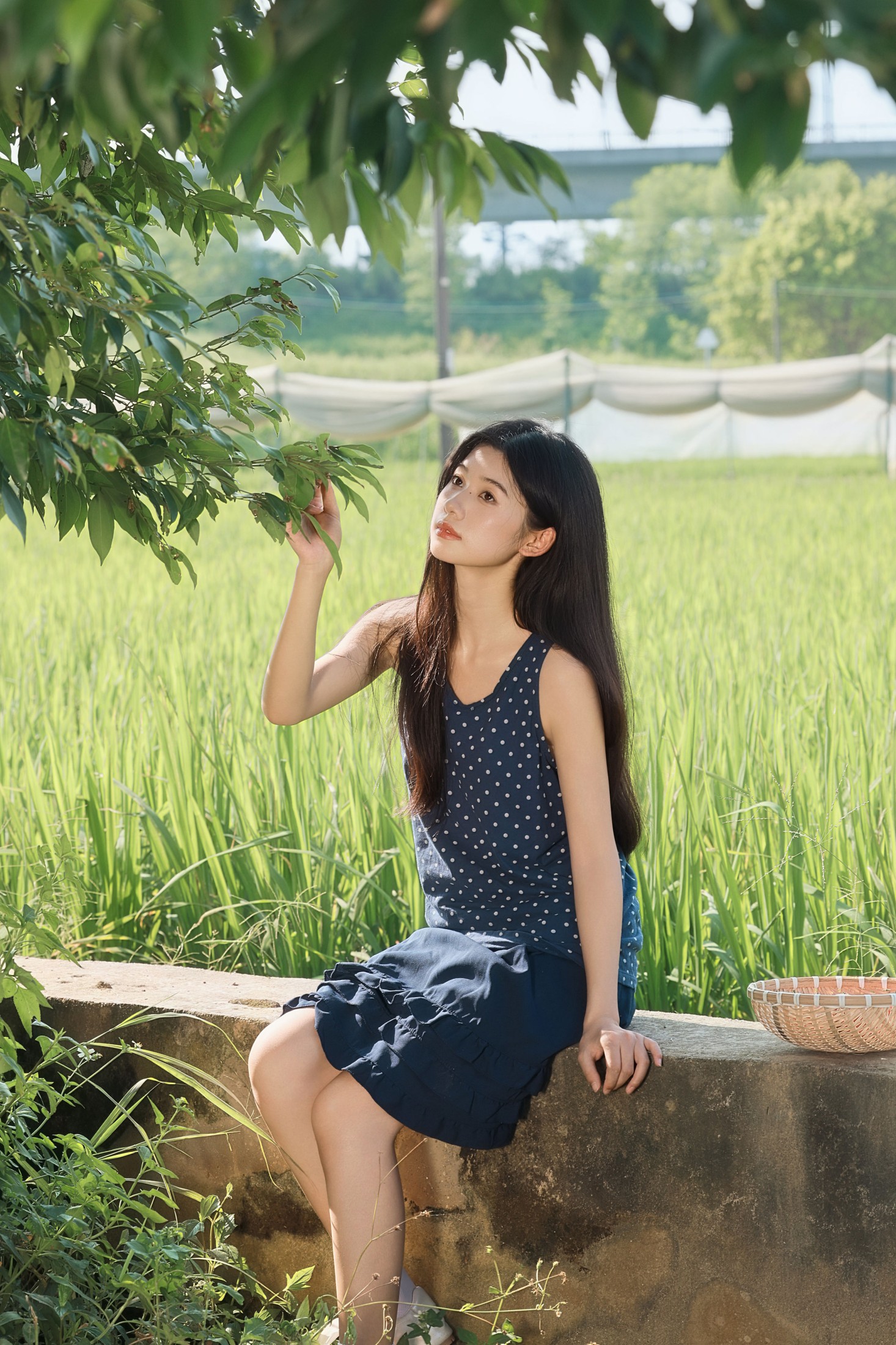 《风里都是稻穗和阳光的味道》[23P] 插图3