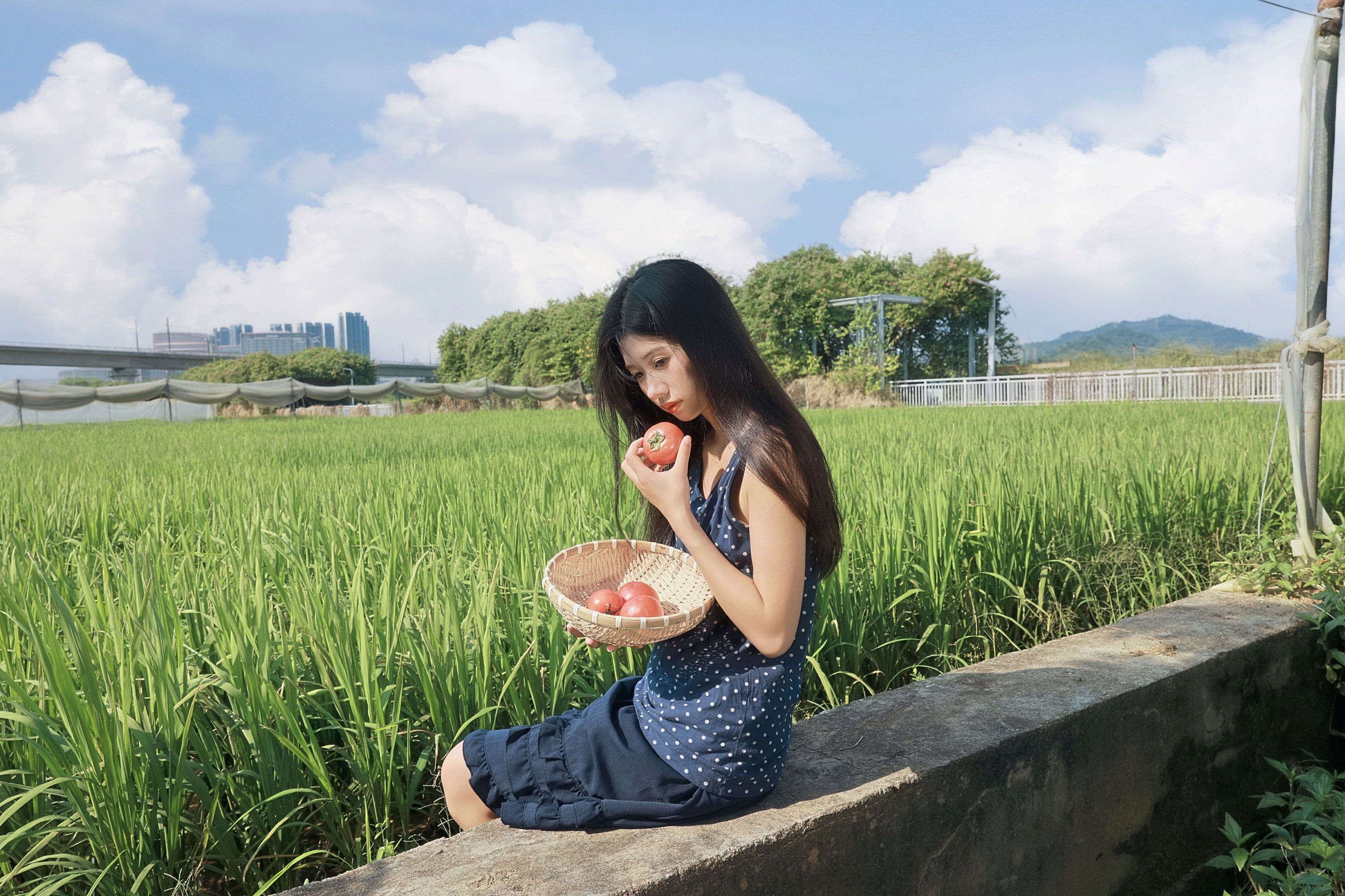 《风里都是稻穗和阳光的味道》[23P]-66COS