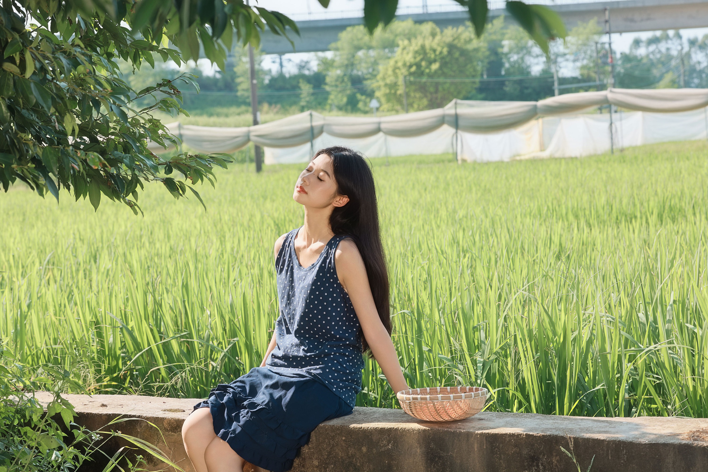 《风里都是稻穗和阳光的味道》[23P] 插图5