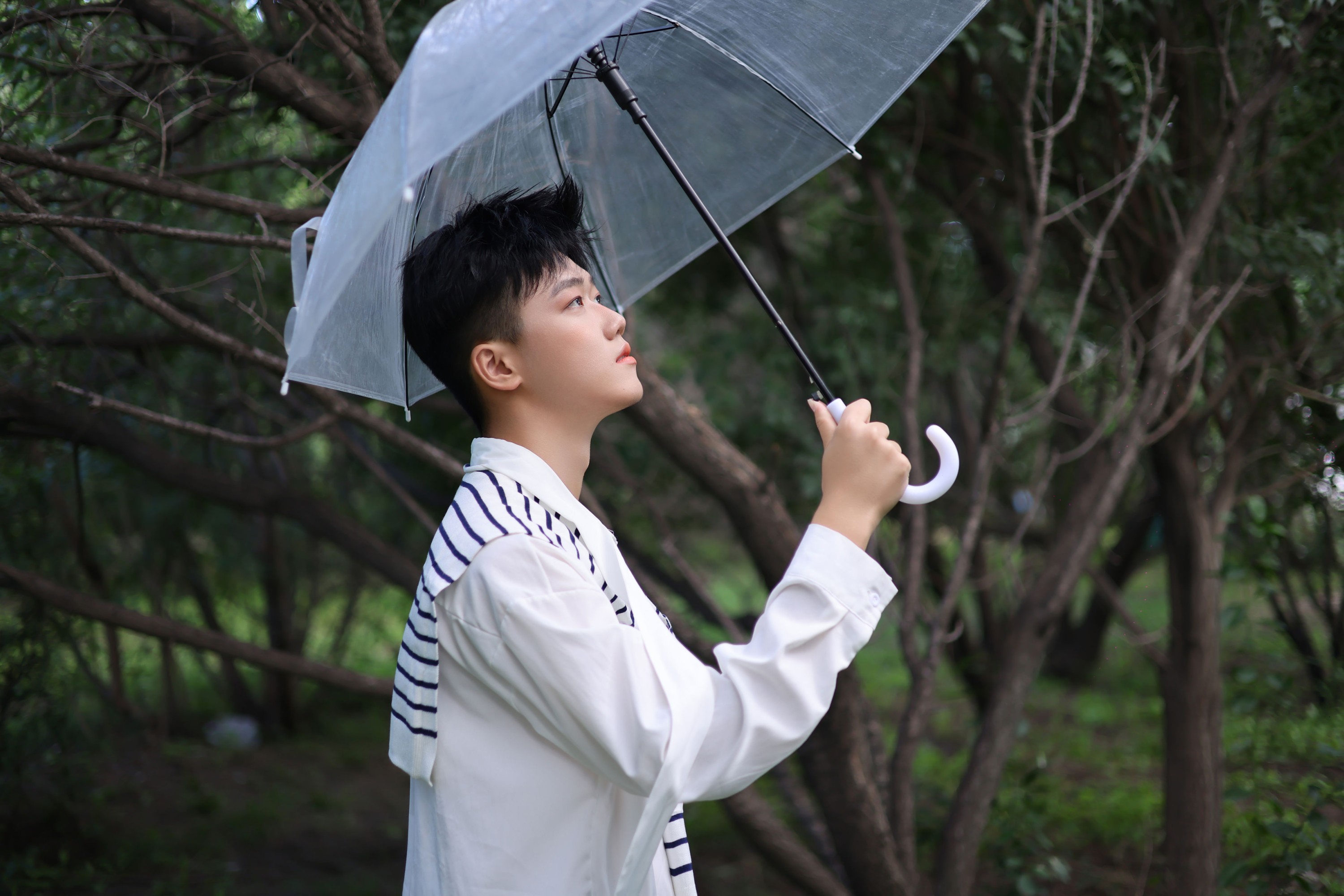 《金鱼》[9P] 插图3