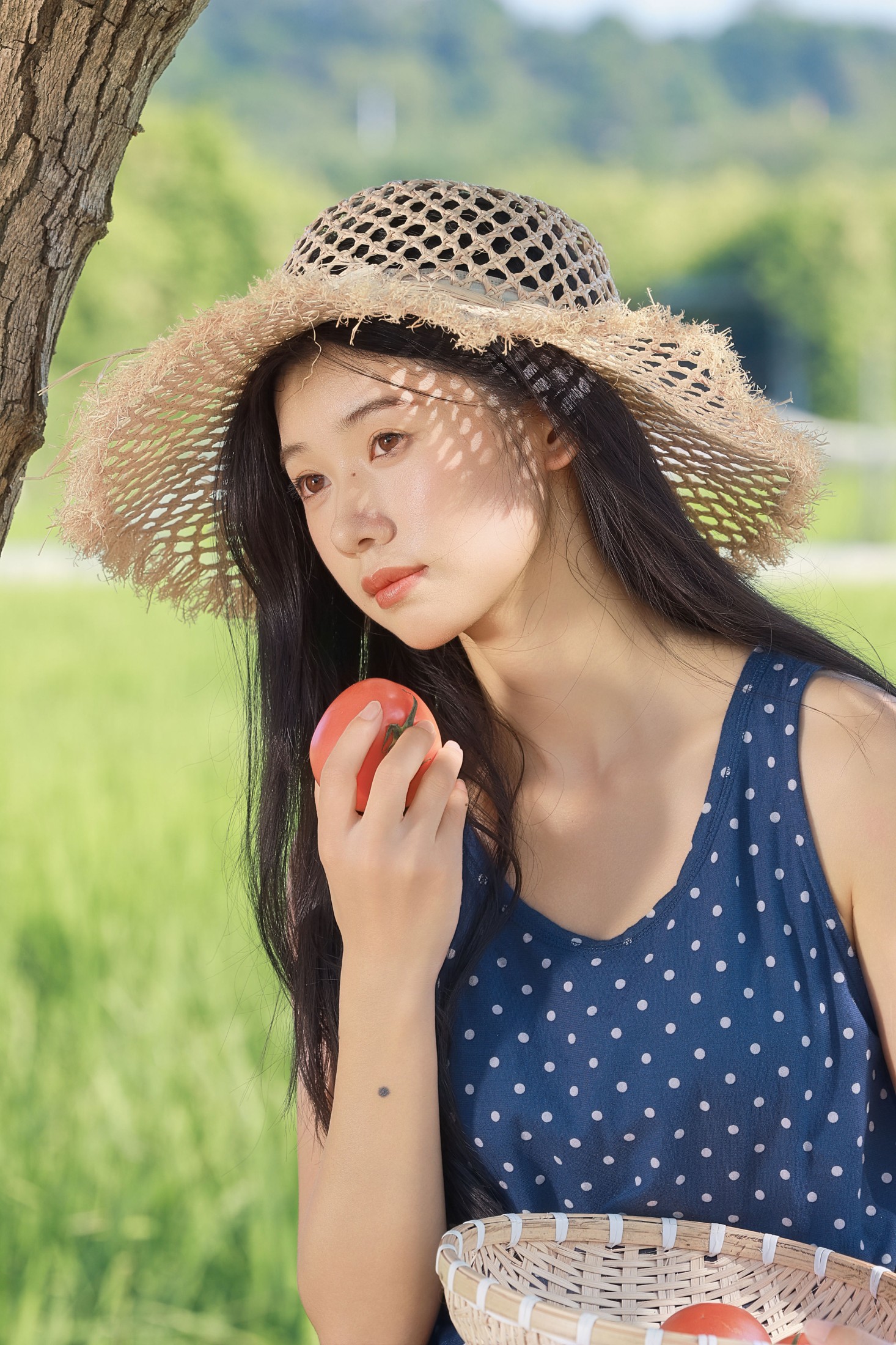 《夏日午后的稻田漫游》[22P]-66COS