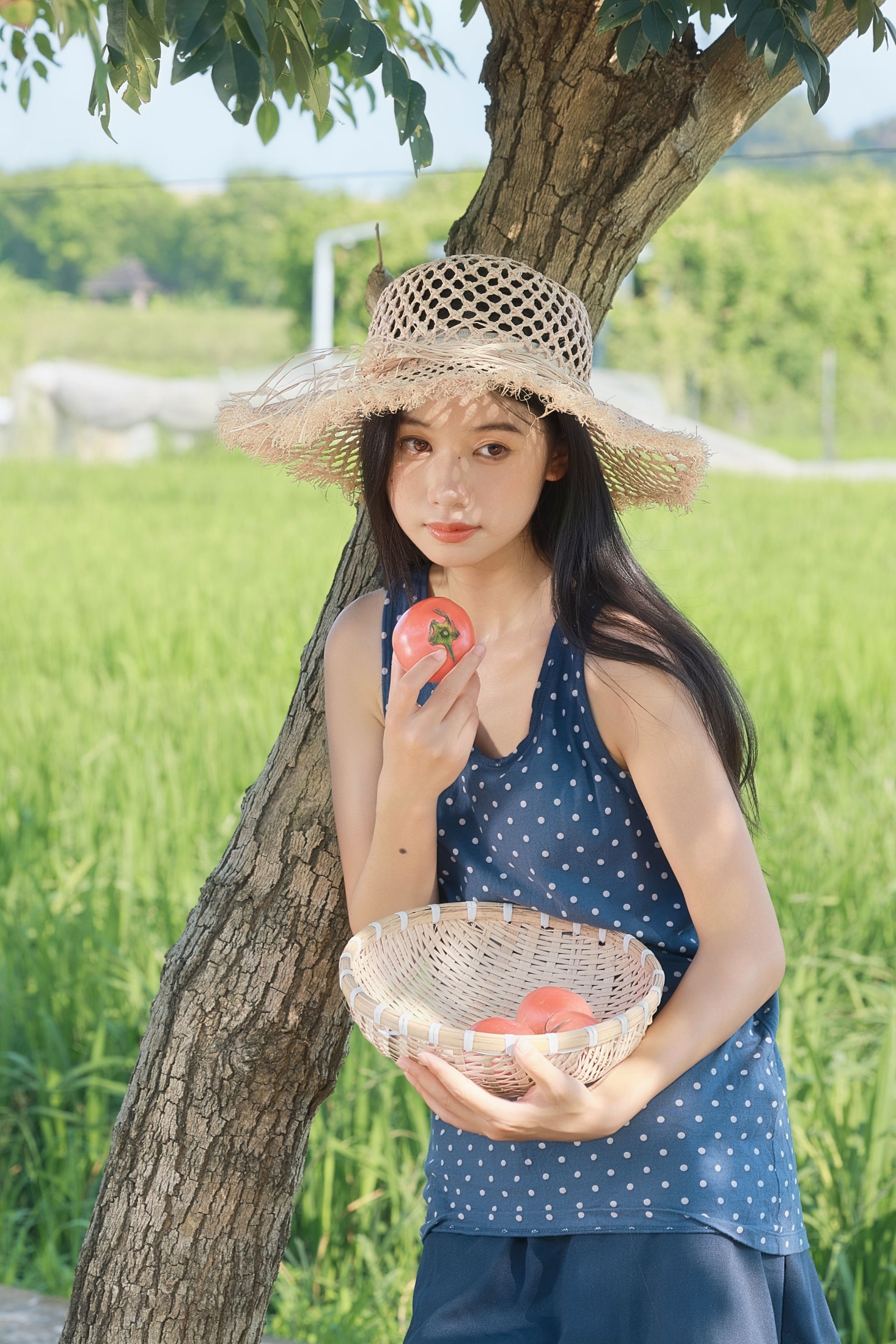 《夏日午后的稻田漫游》[22P] 插图3