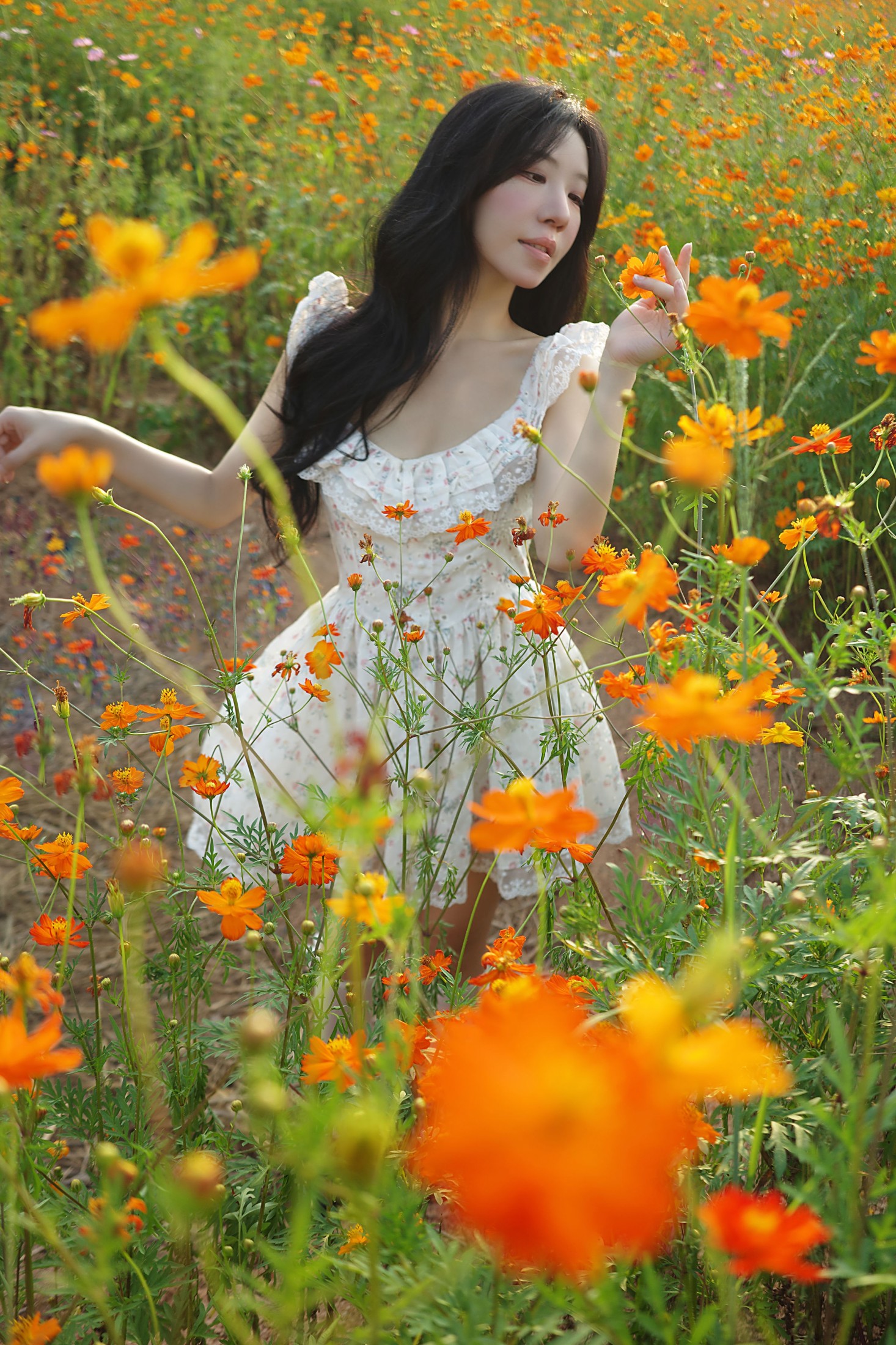 《经过一片花园》[9P] 插图5
