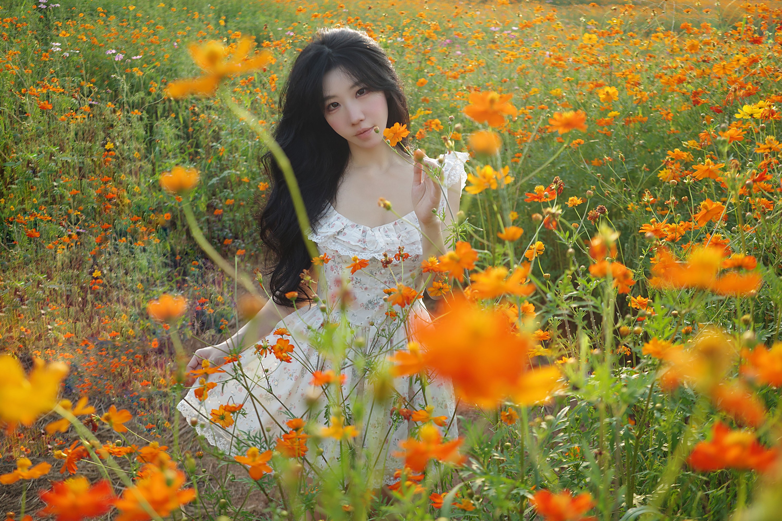《经过一片花园》[9P] 插图2