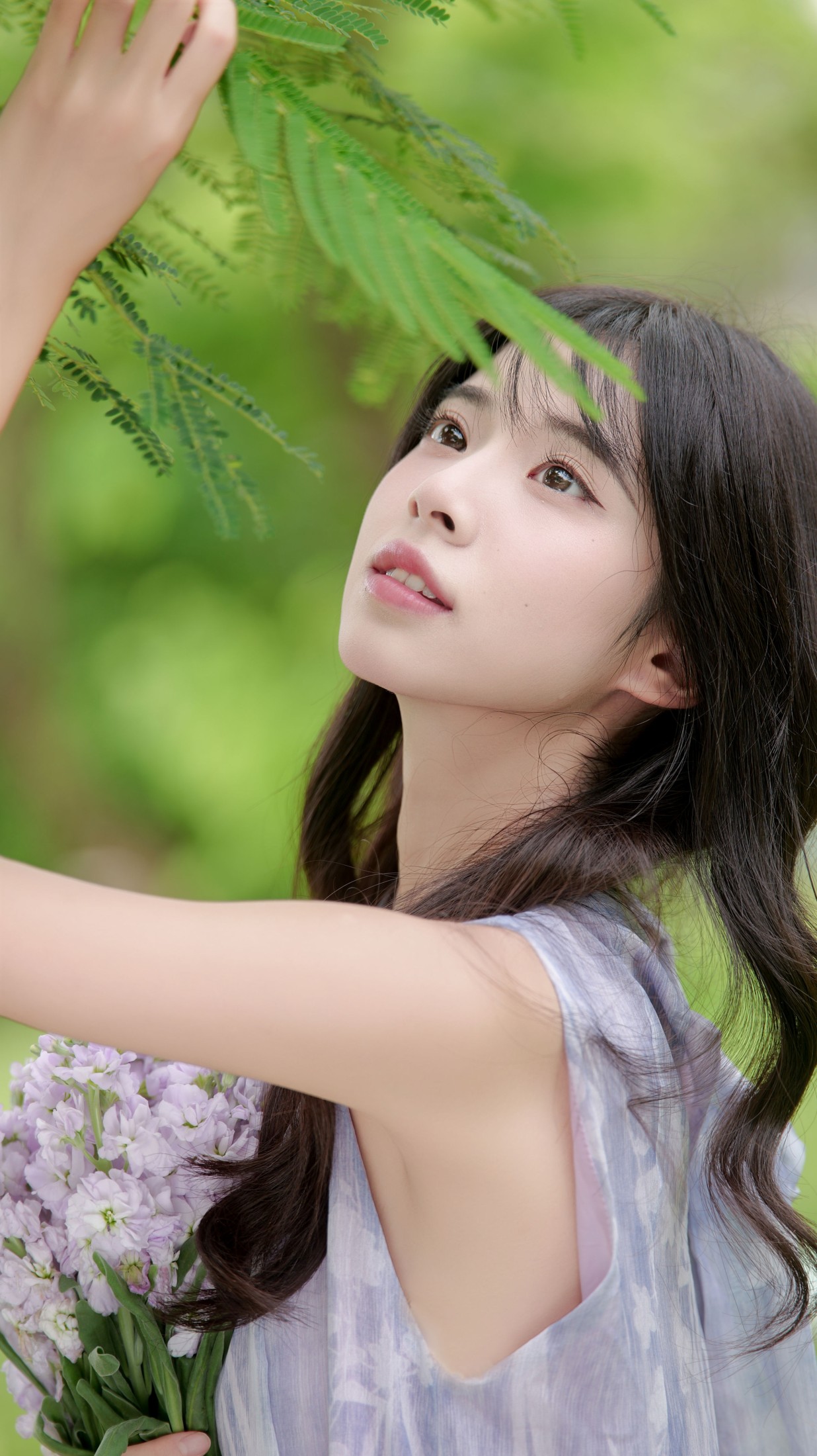 《紫罗兰与青野》[21P]-66COS