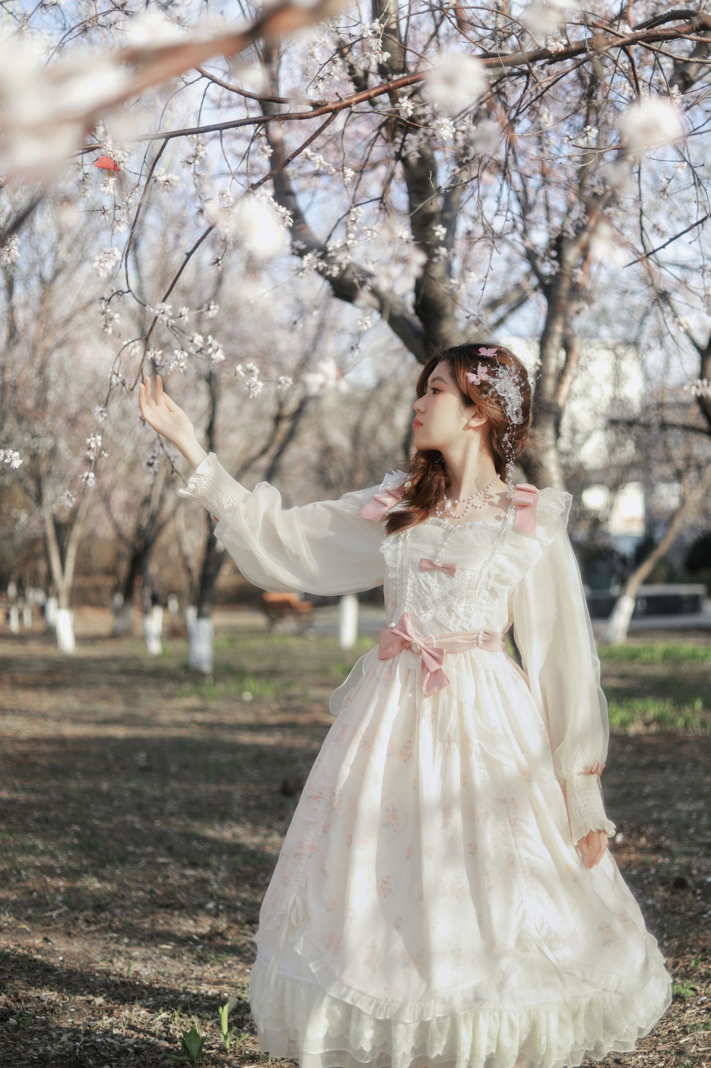 《樱花》[10P] 插图4