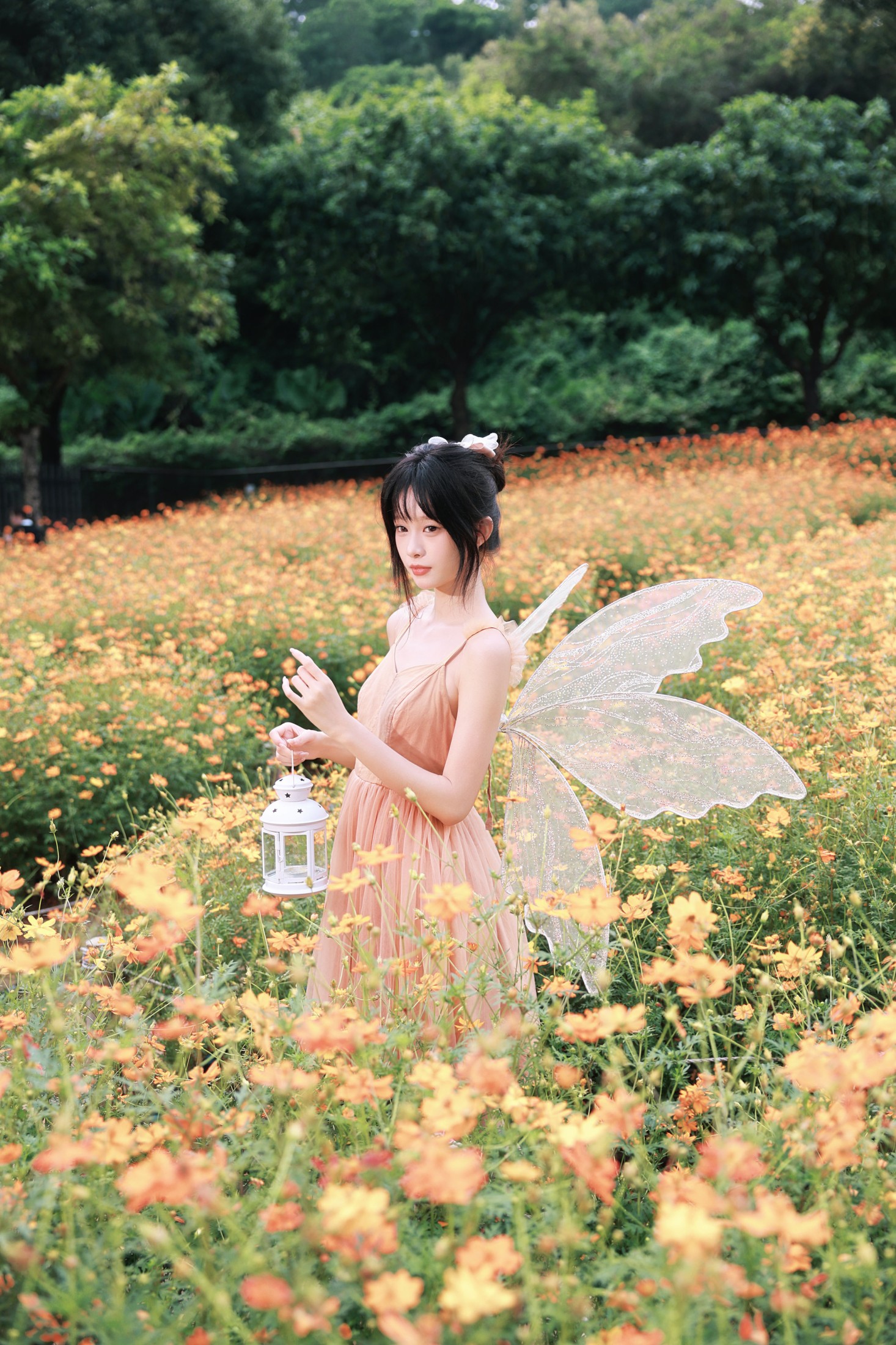 《闯进花海的橘色小精灵》[22P] 插图4