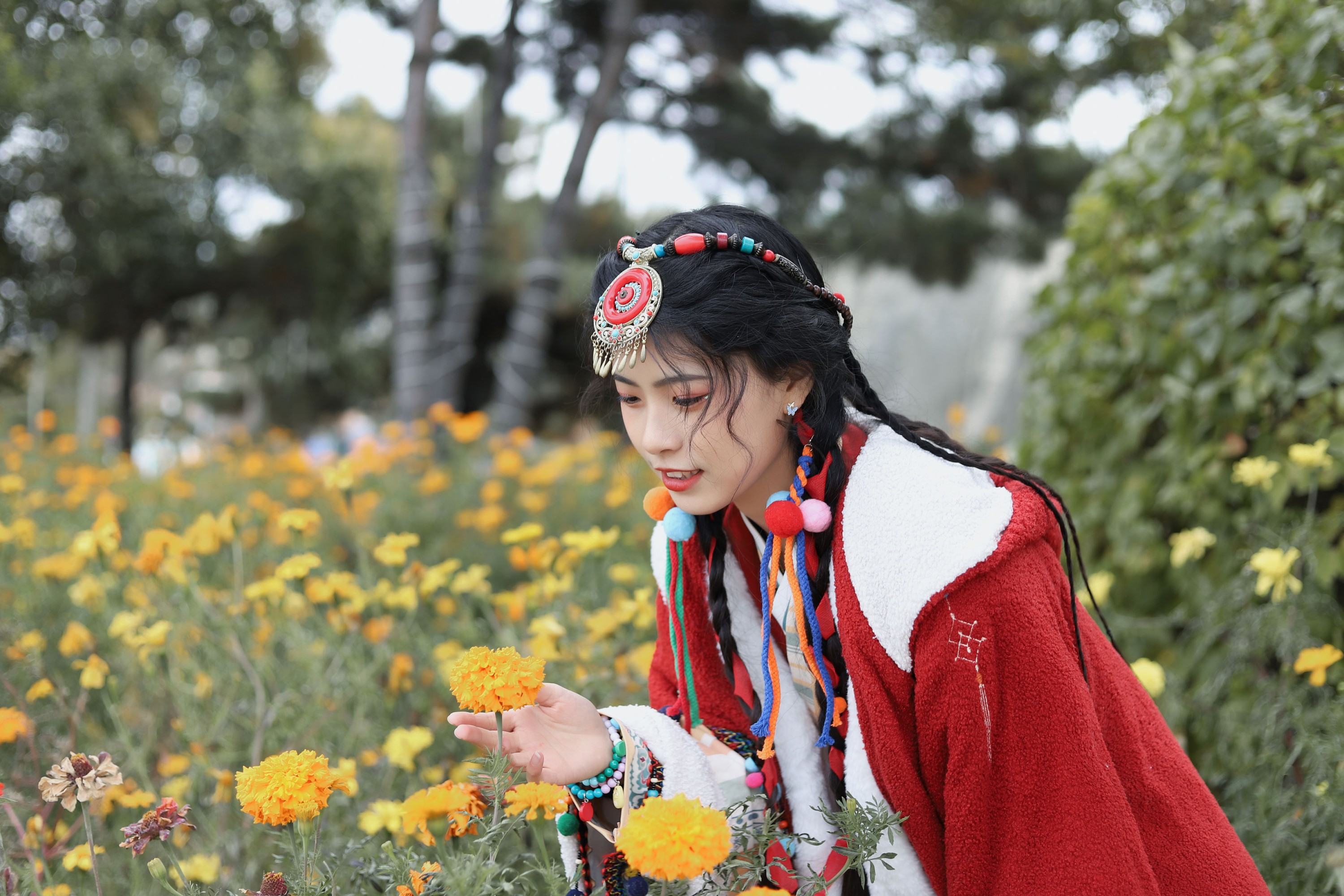 《繁花似锦》[13P] 插图4