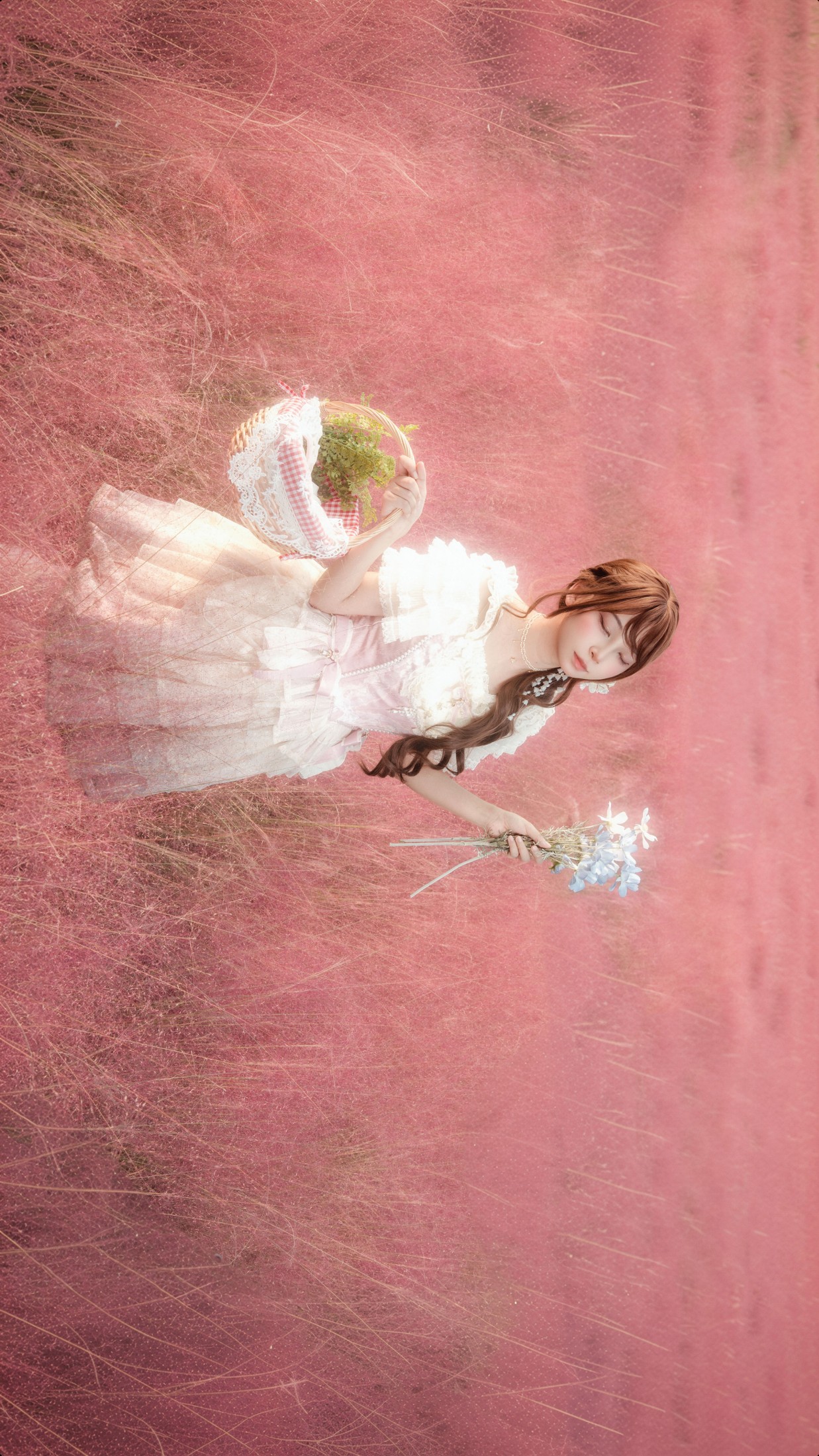 《粉黛乱子草》[9P] 插图3
