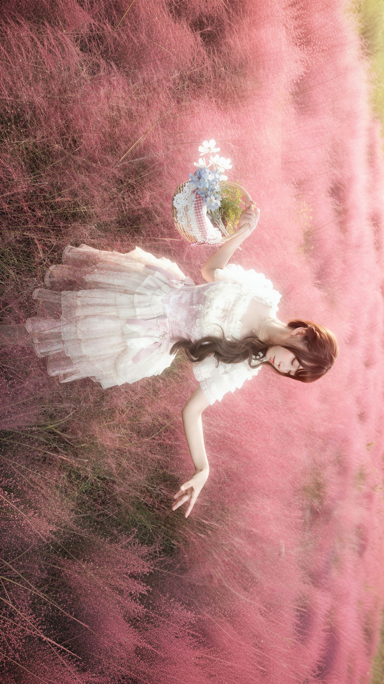 《粉黛乱子草》[9P] 插图5
