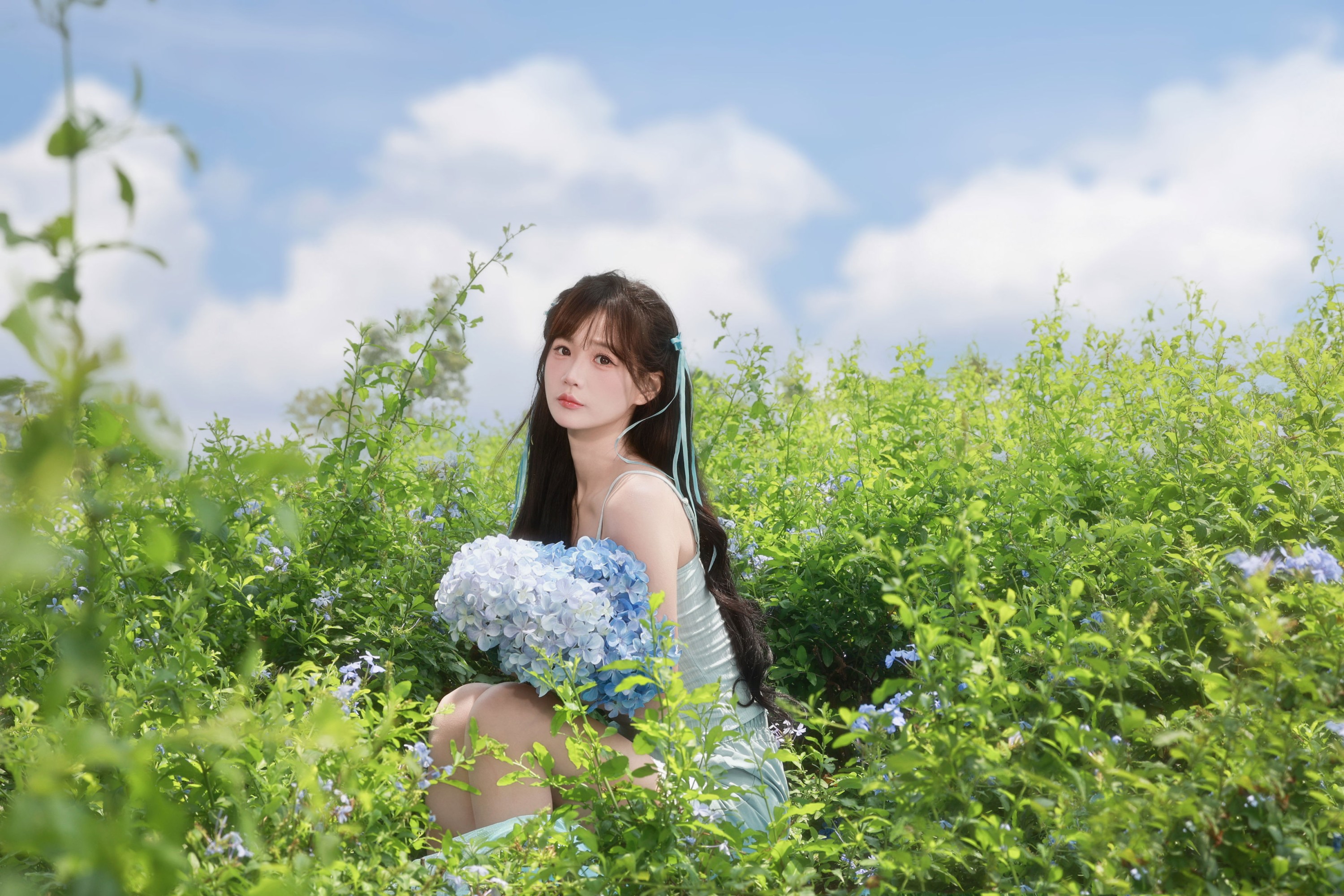 《夏日序曲・绣球花海与少女》[17P]-66COS