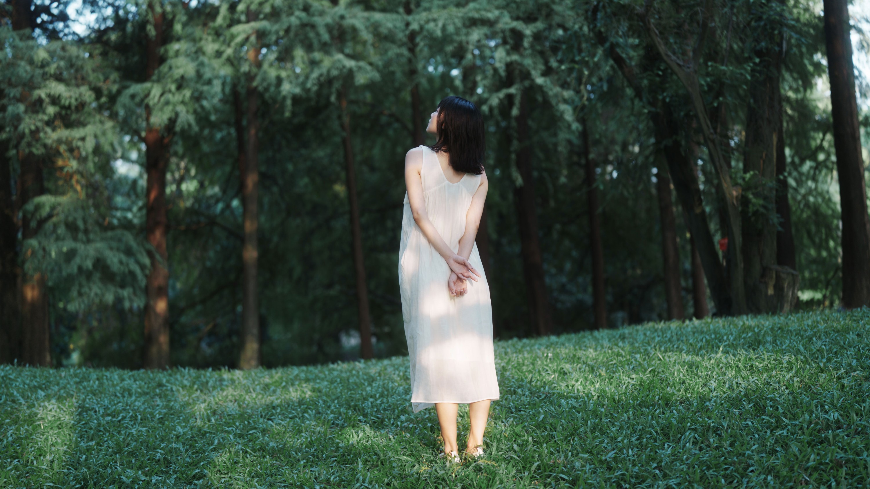 《森林白裙子》[37P] 插图2