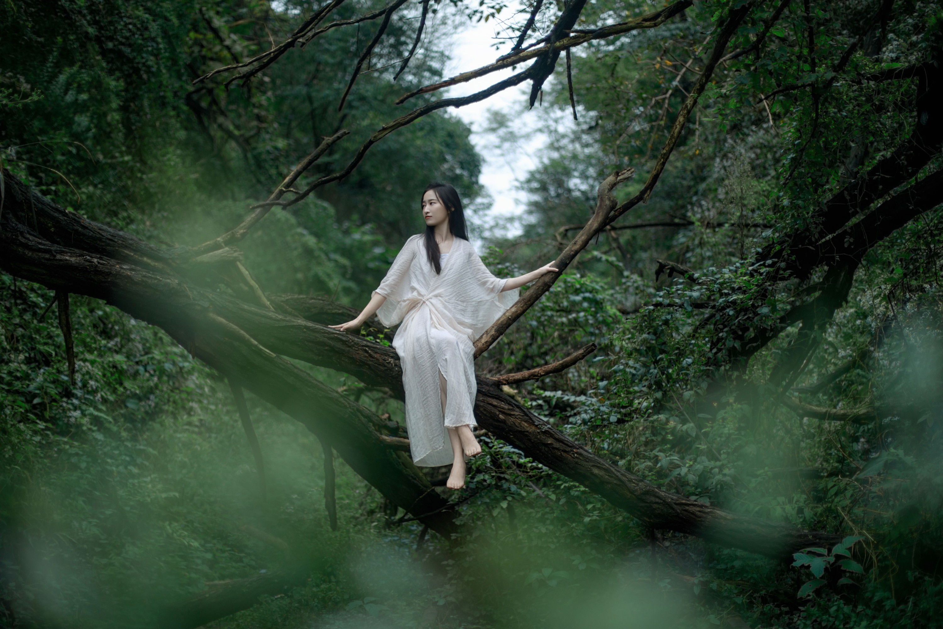 《青苔闻讯而不知晓》[20P]-66COS
