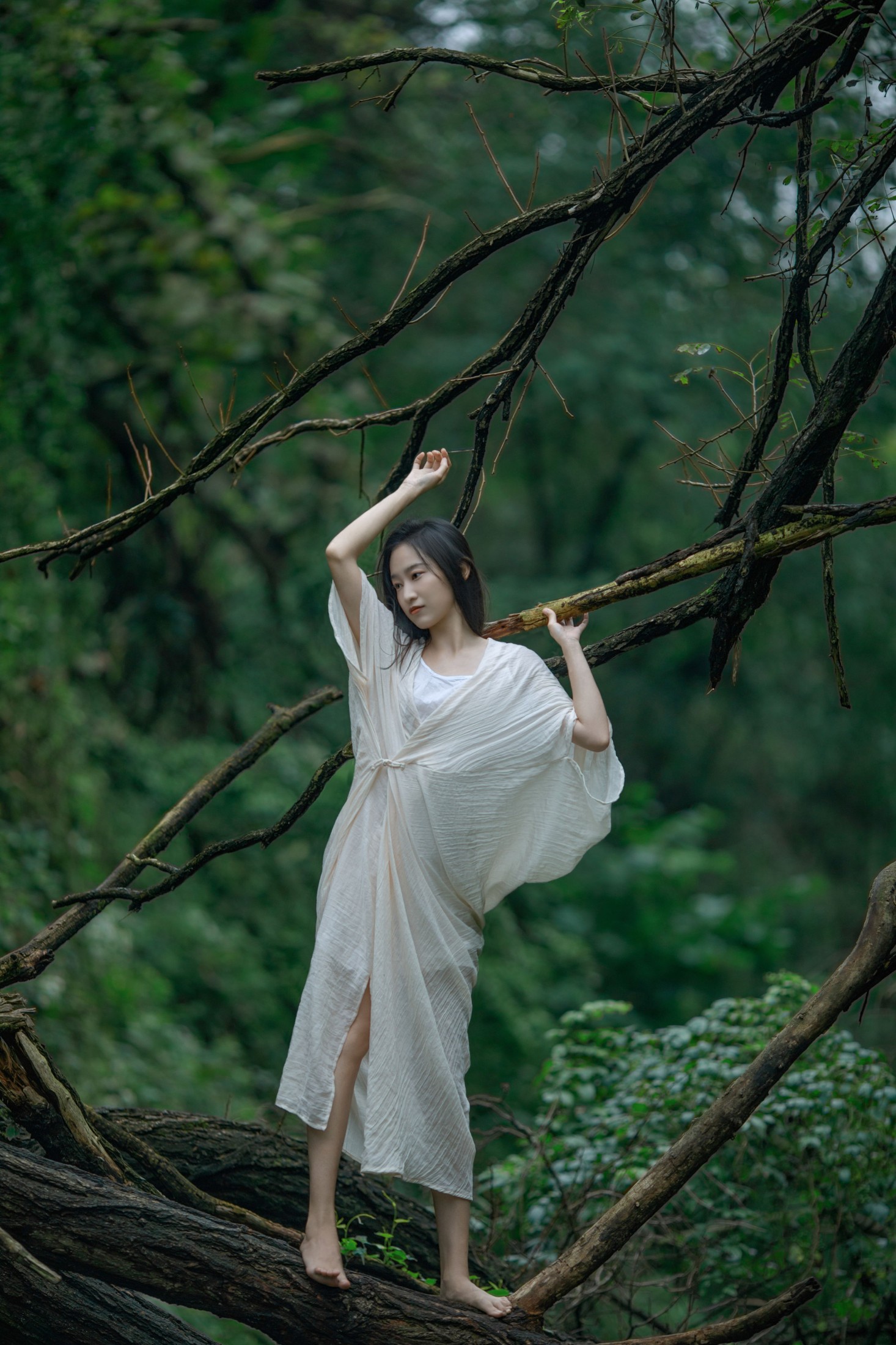 《青苔闻讯而不知晓》[20P] 插图5