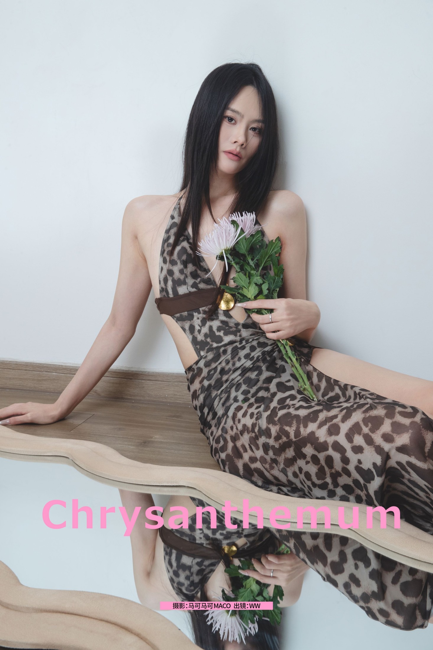 《Chrysanthemum》[22P]-66COS